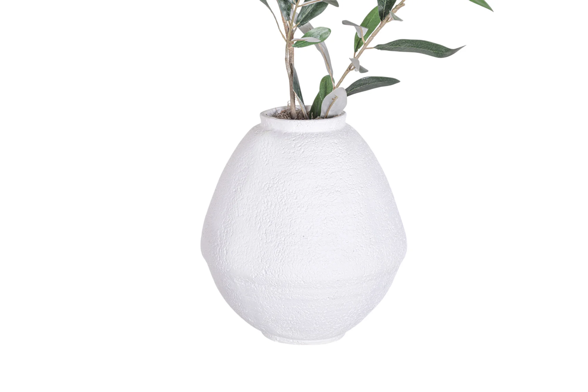 11" Jana Pot with Olive Branch Arrangement AR1325 - Image 2