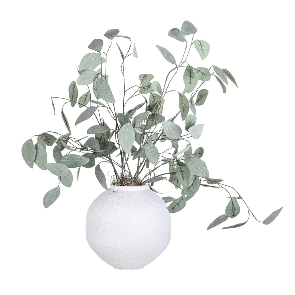 10" Nova Pot with Eucalyptus Arrangement AR1352