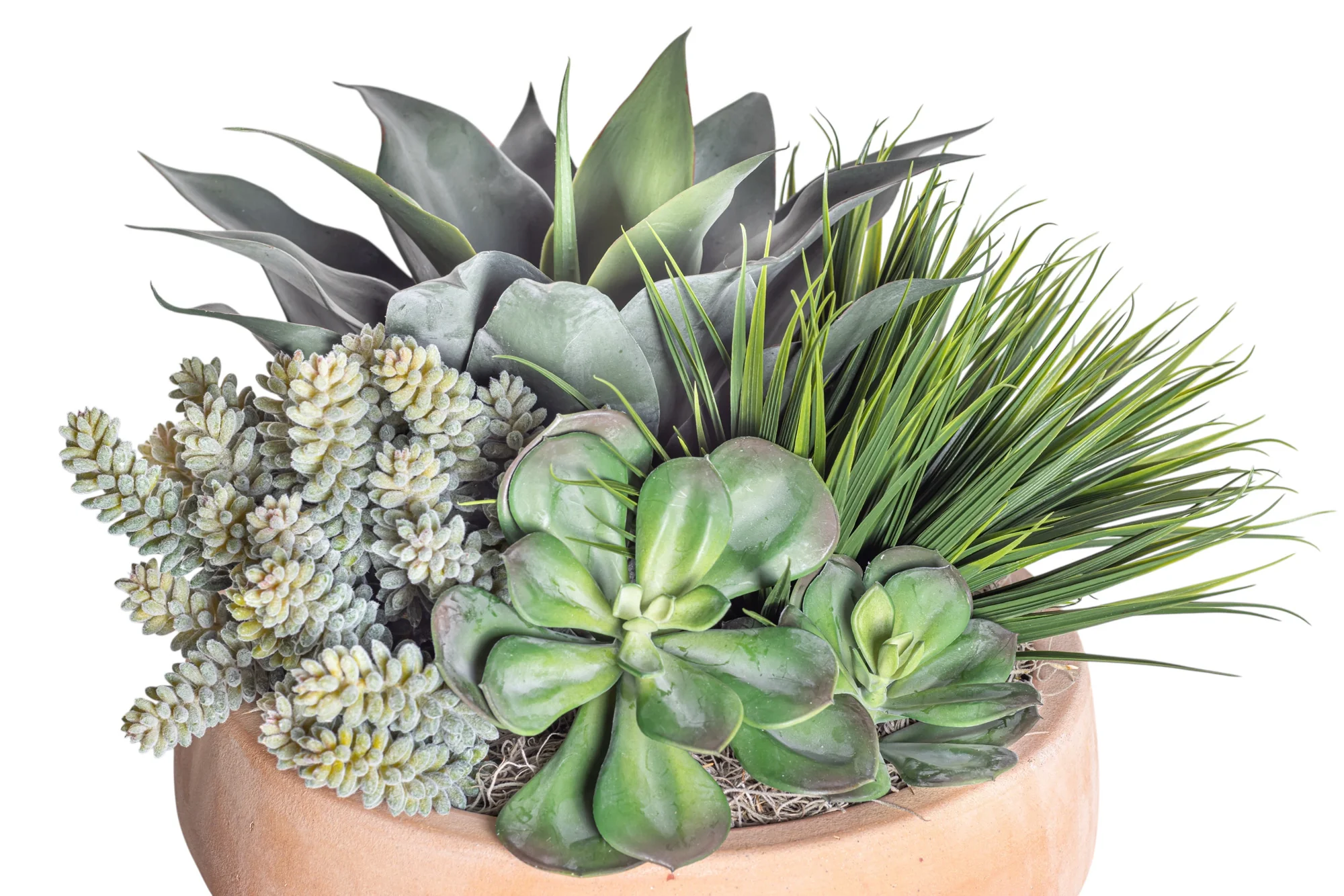 Mixed Succulent Arrangement in Terracotta Mack Bowl AR1374 - Image 3
