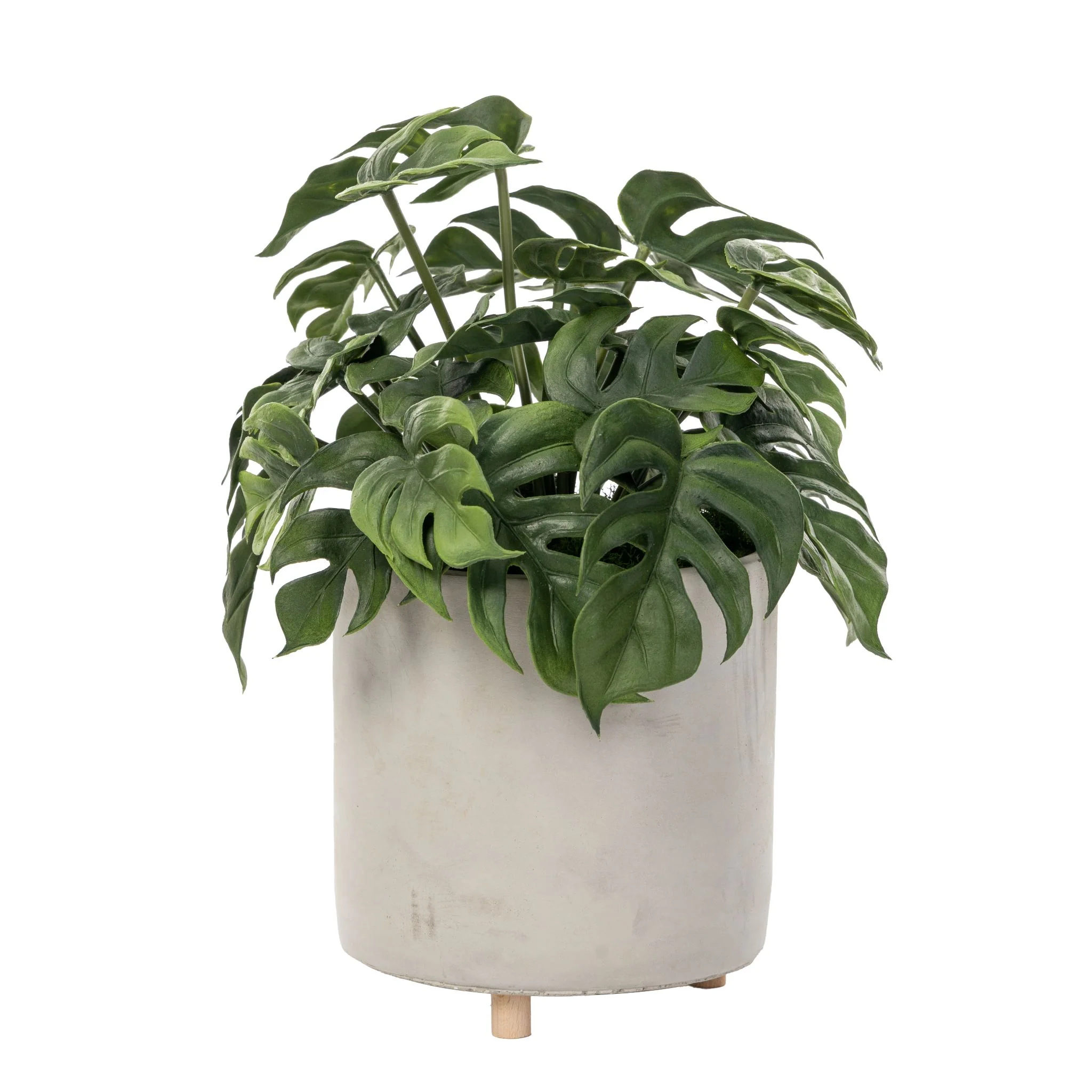 13.5" Philodendron Bush in Corbin Pot   AR1572