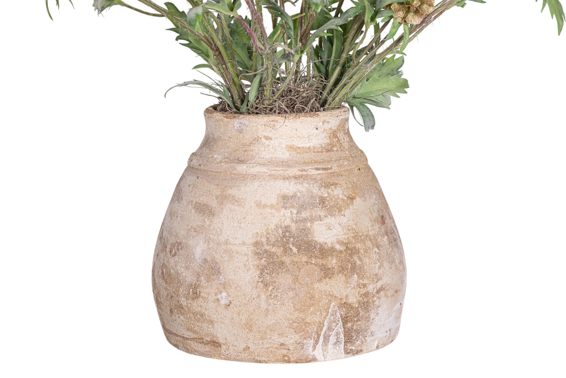 22" Aster Pot with Scabiosa Pod Arrangement AR1956 - Image 3