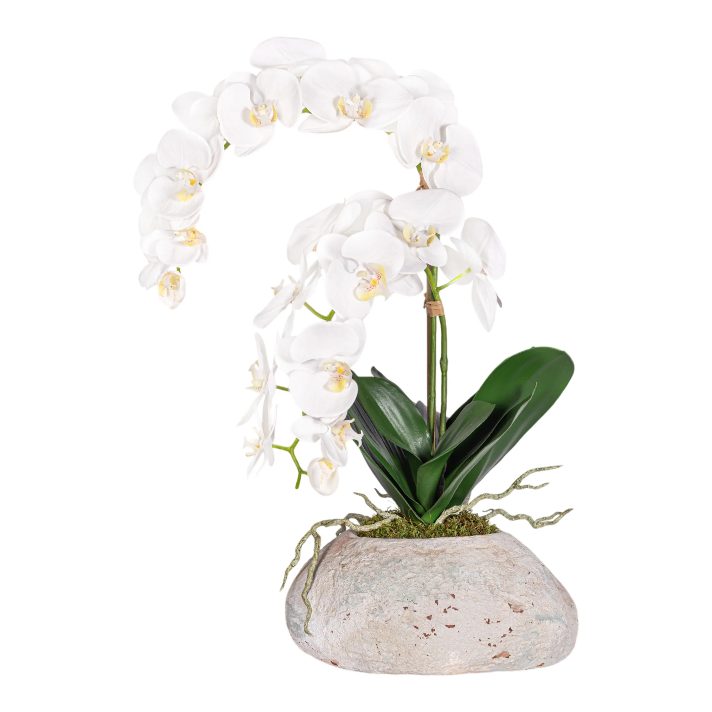 20" Skye Pot with Orchid Arrangement AR1958 - Image 2