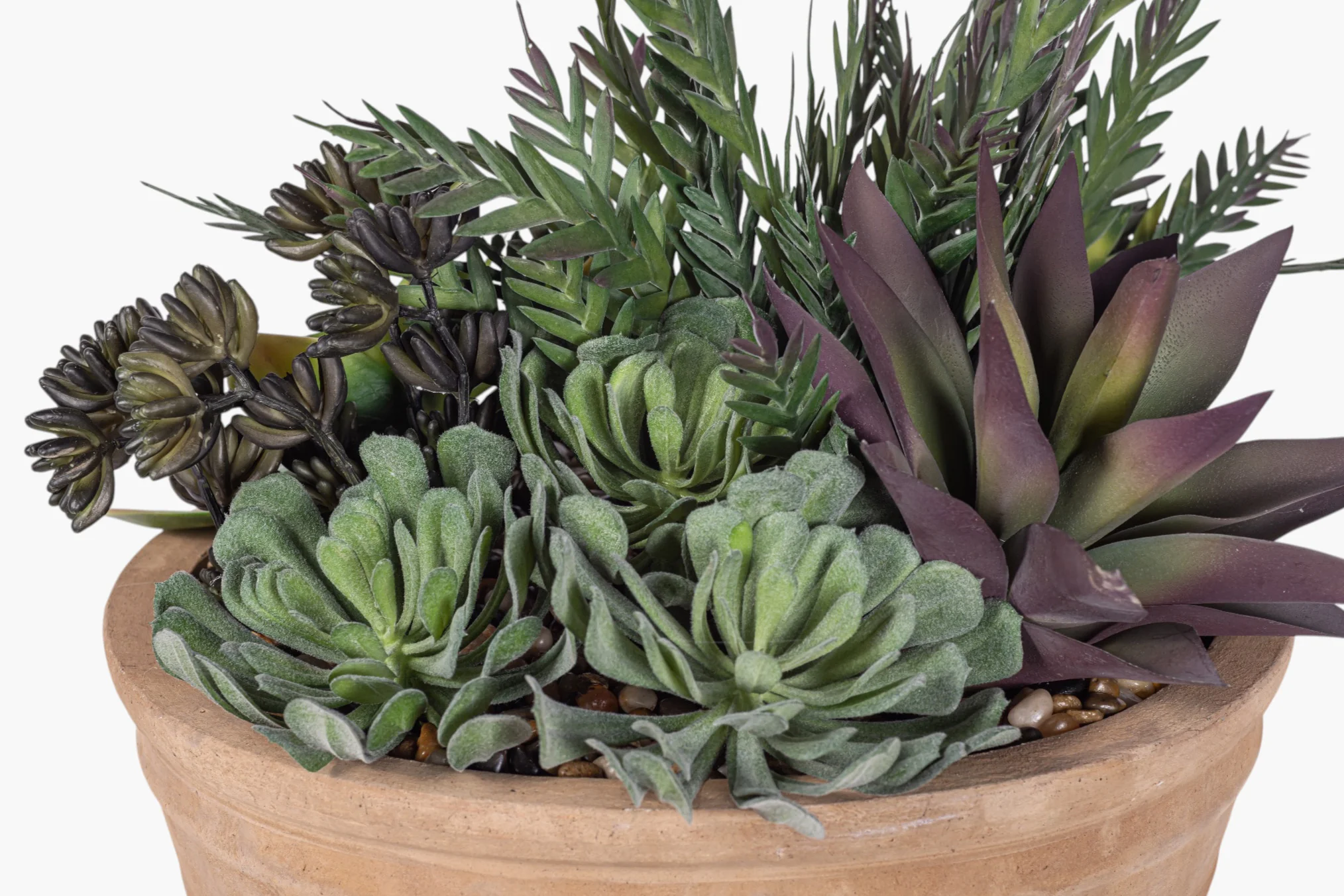 Suri Bowl with Mixed Succulent Arrangement AR1976 - Image 3