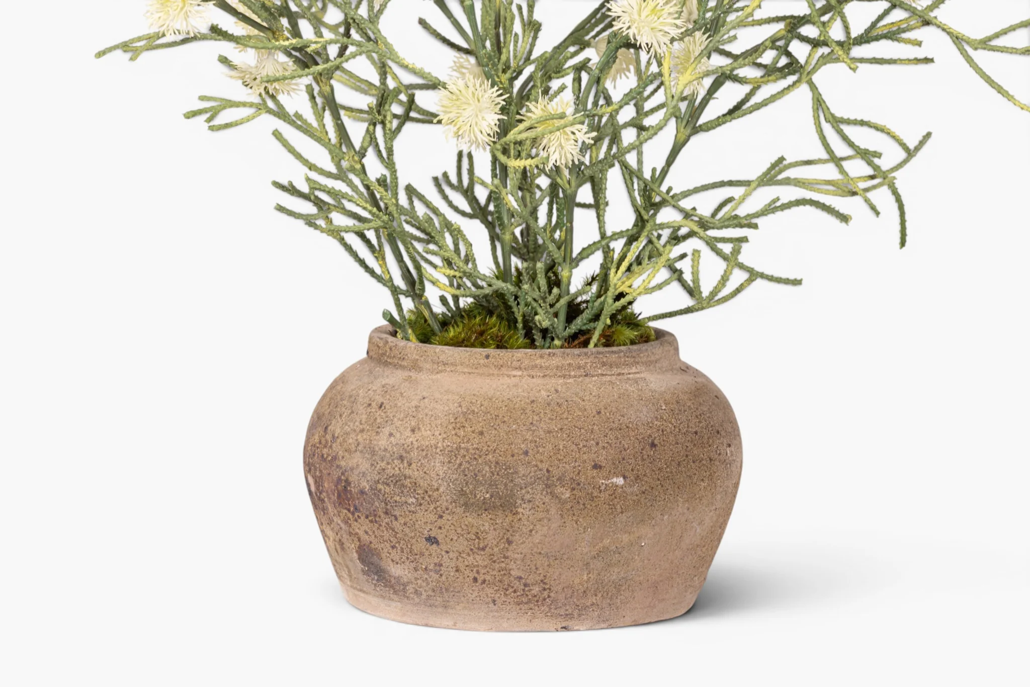 Esther Pot with Spider Flower Arrangement AR1979 - Image 2