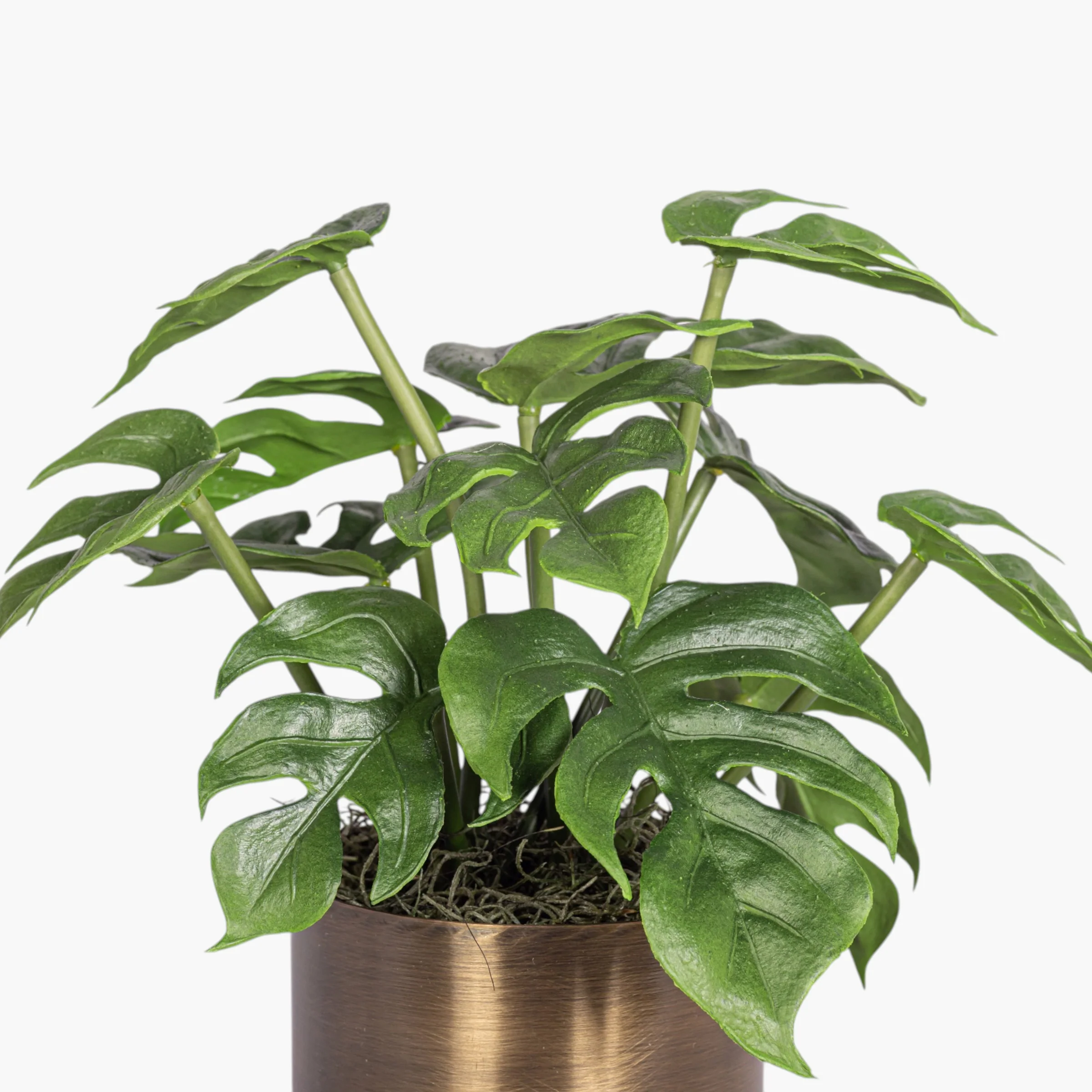 Taryn Planter with Monstera Arrangement AR2039 - Image 2