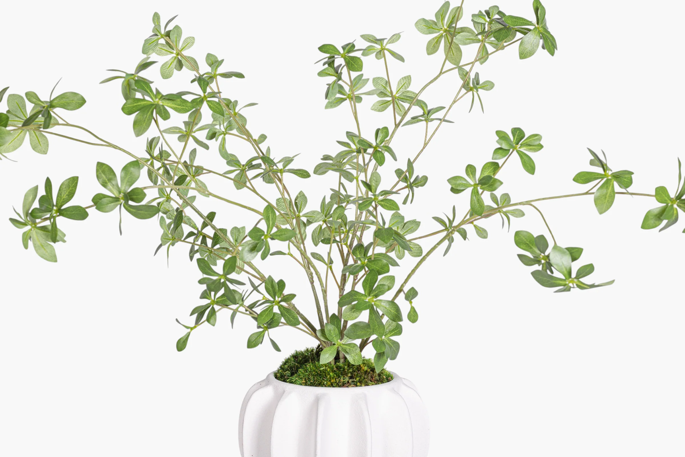 Luna Pot with Greenery Arrangement AR1996 - Image 2