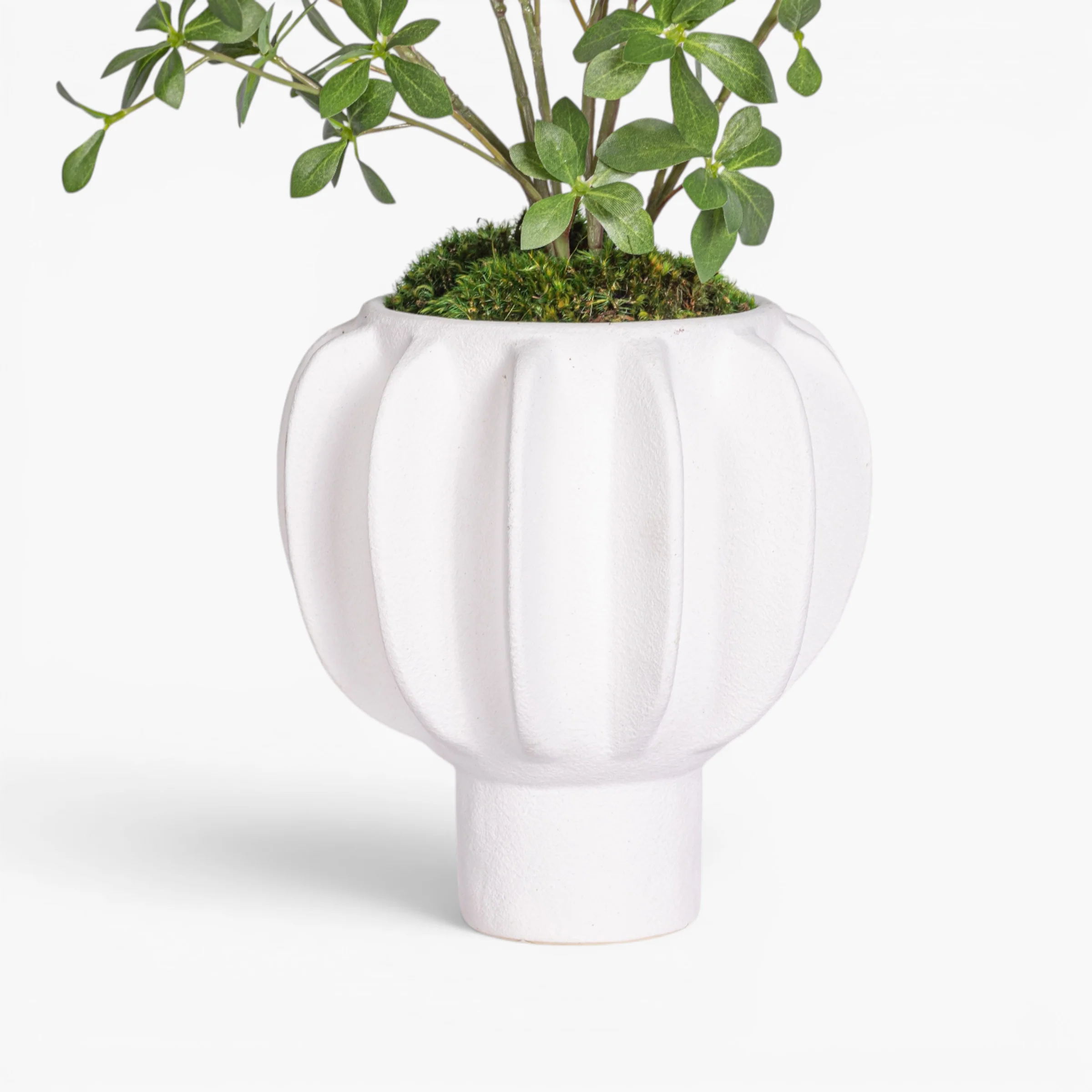 Luna Pot with Greenery Arrangement AR1996 - Image 3