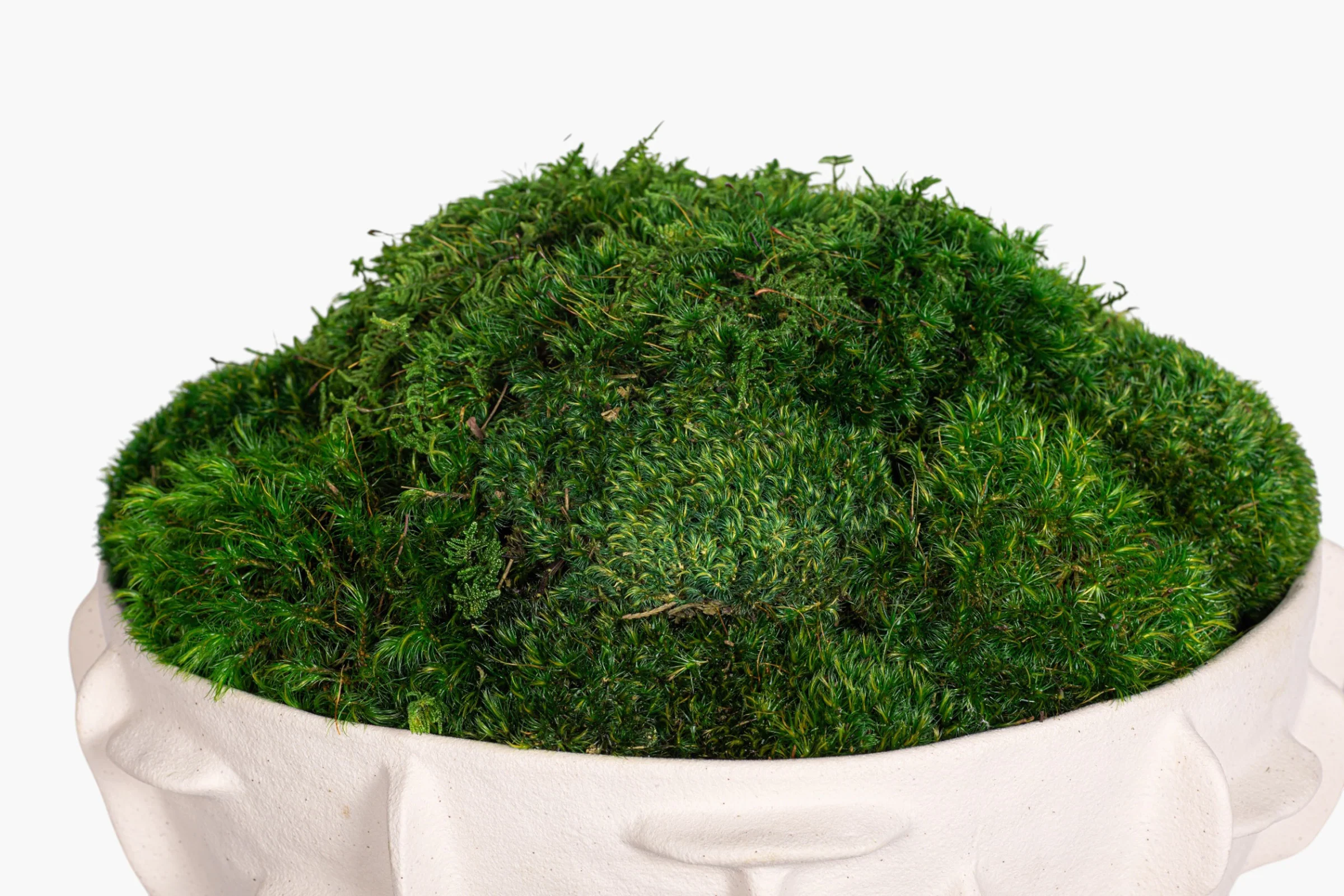 Finnegan Bowl with Mood Moss Arrangement AR2004 - Image 3