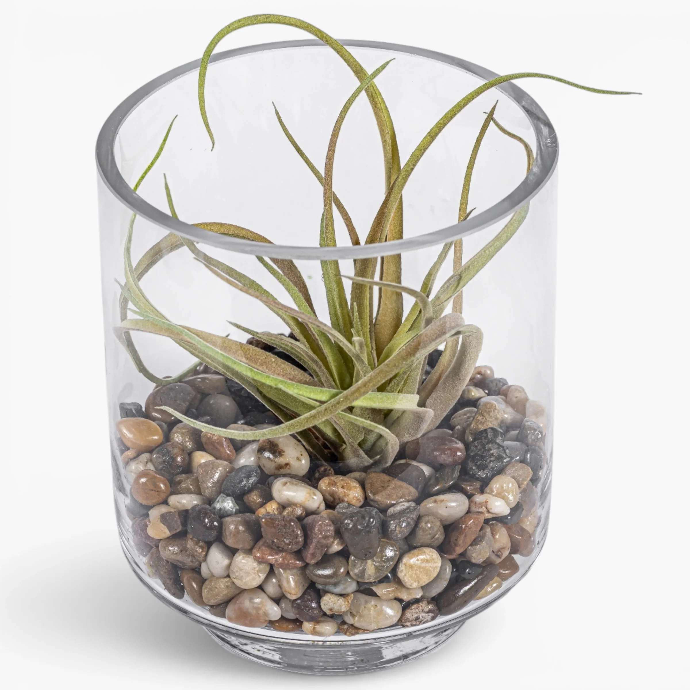 Harbor Vase with Airplant Arrangement AR2006