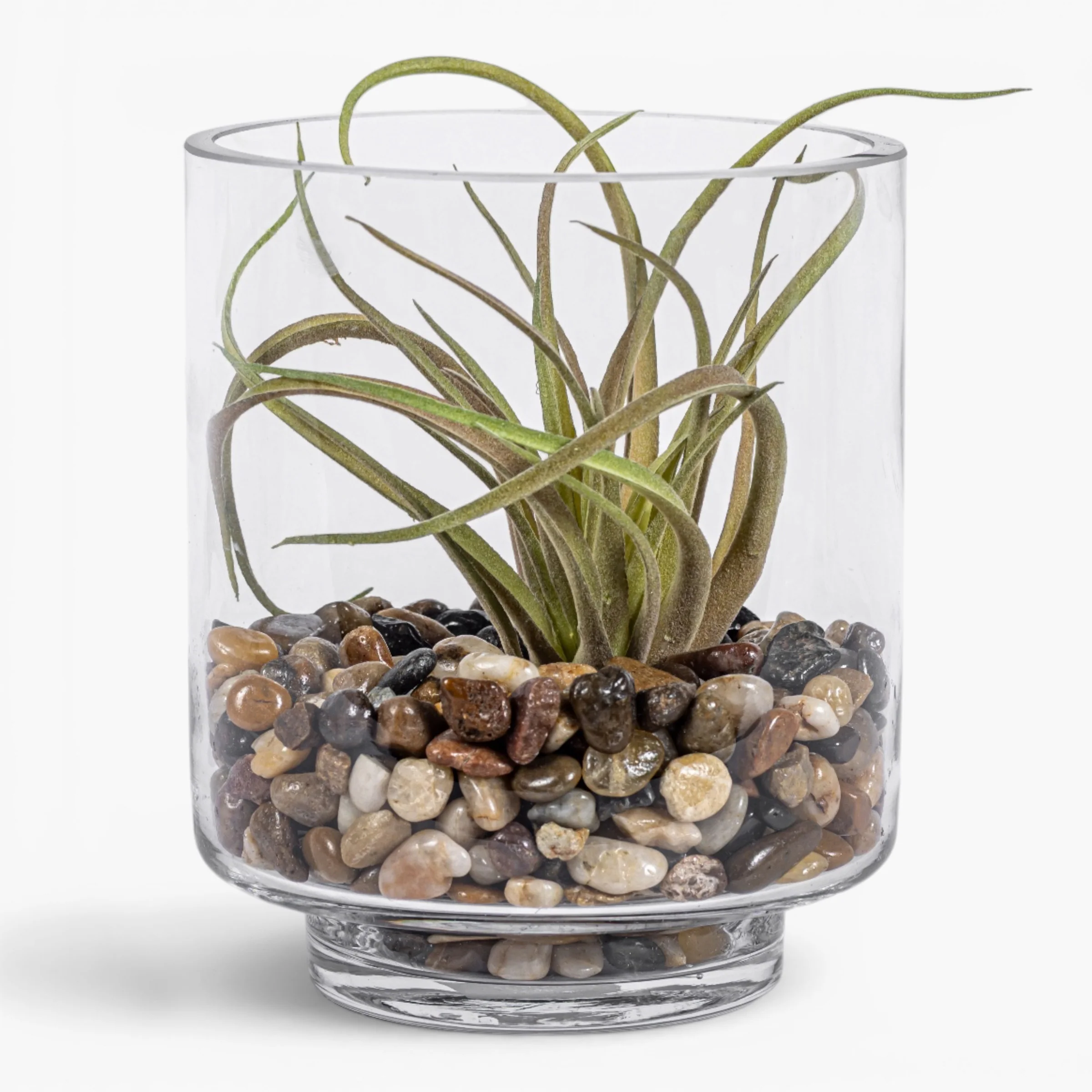 Harbor Vase with Airplant Arrangement AR2006 - Image 2