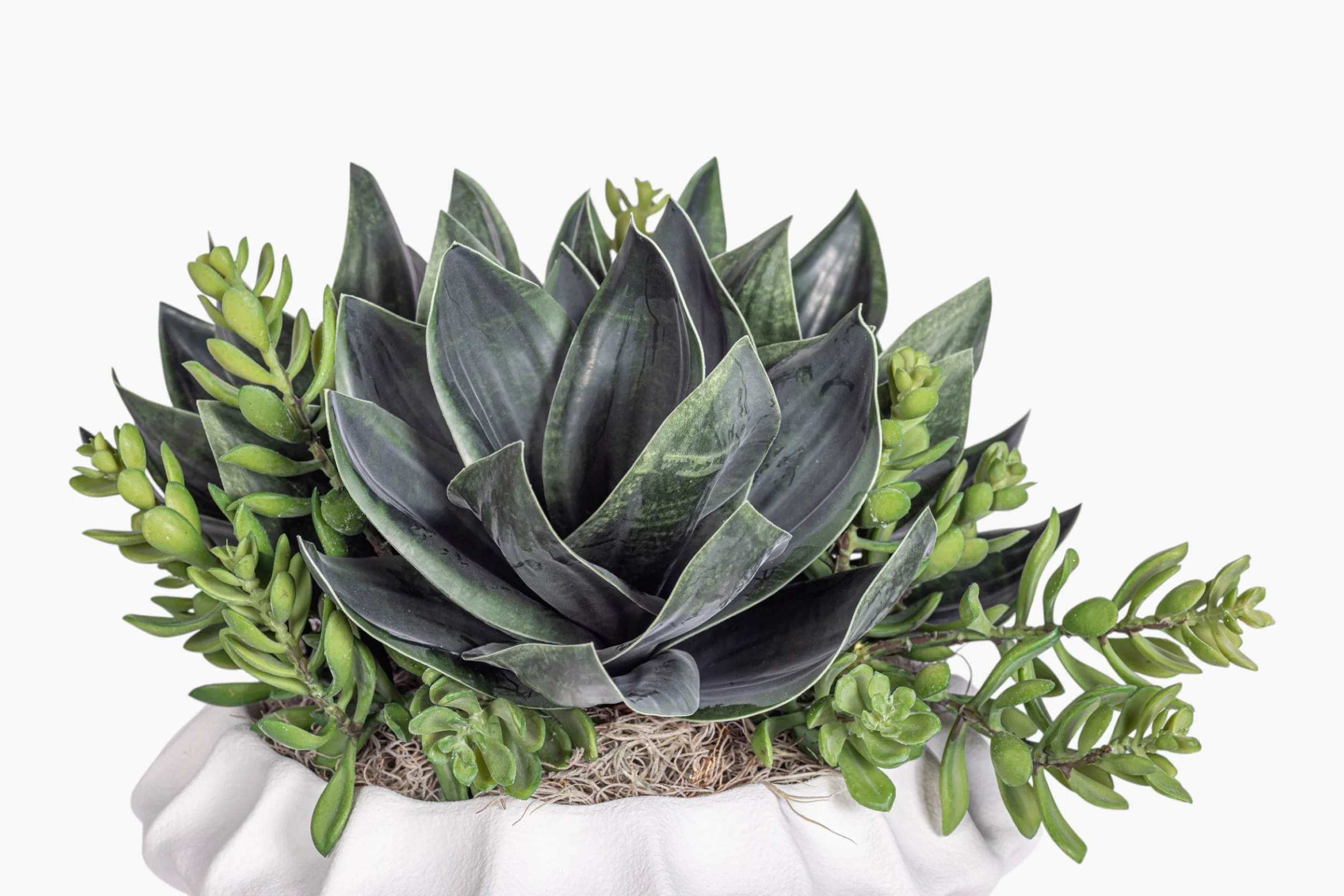 Adelaine Bowl with Succulent Arrangement AR2010 - Image 3