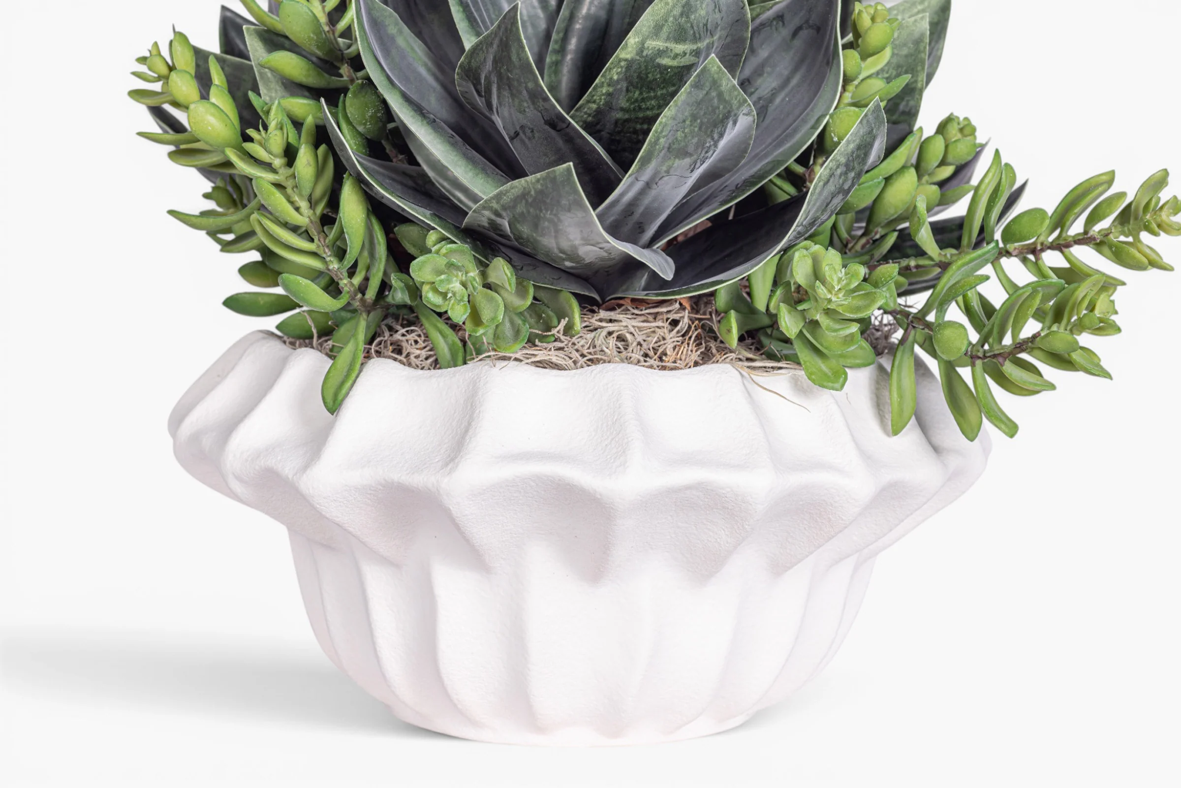 Adelaine Bowl with Succulent Arrangement AR2010 - Image 4
