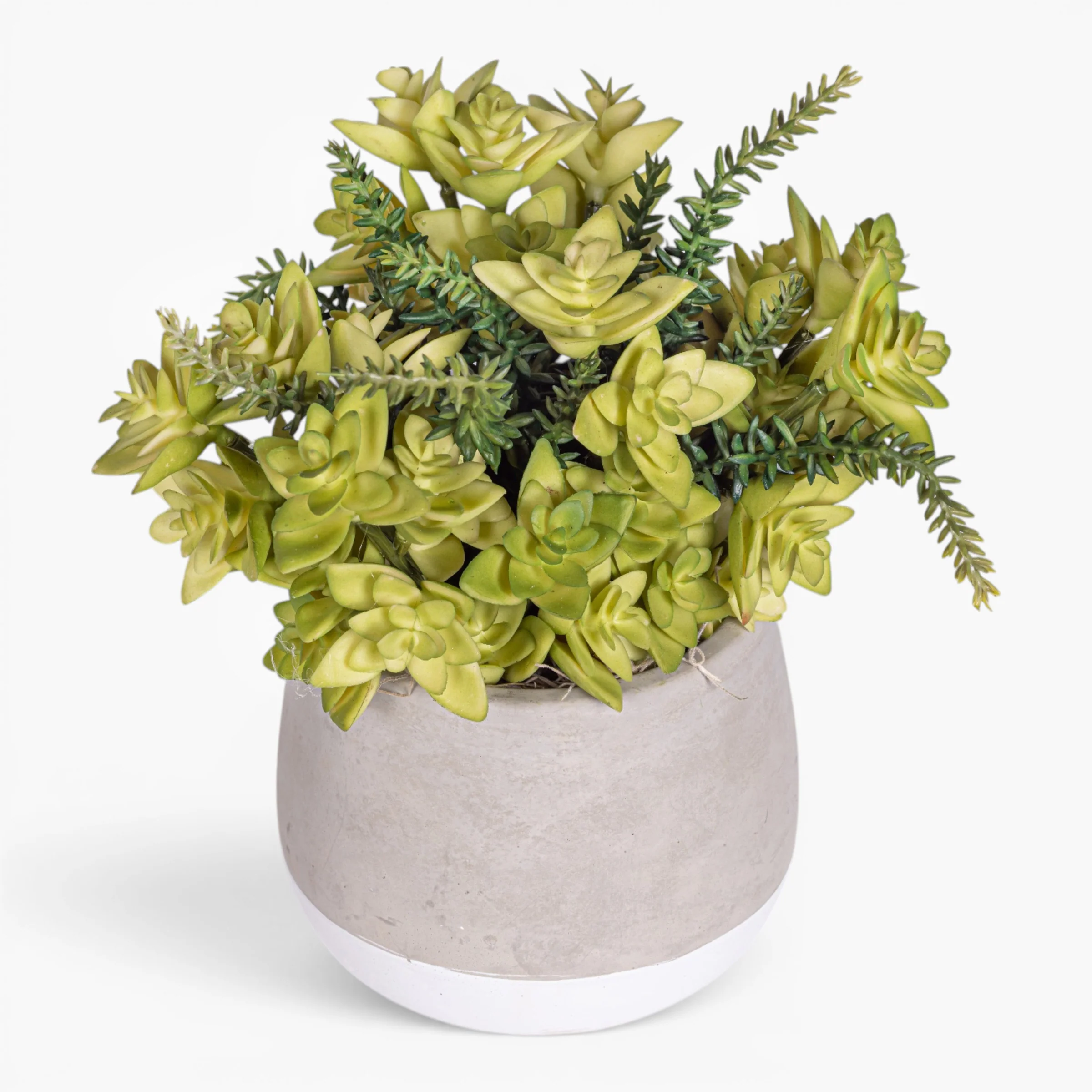 Ellie Pot with Succulent Arrangement AR2011 - Image 2
