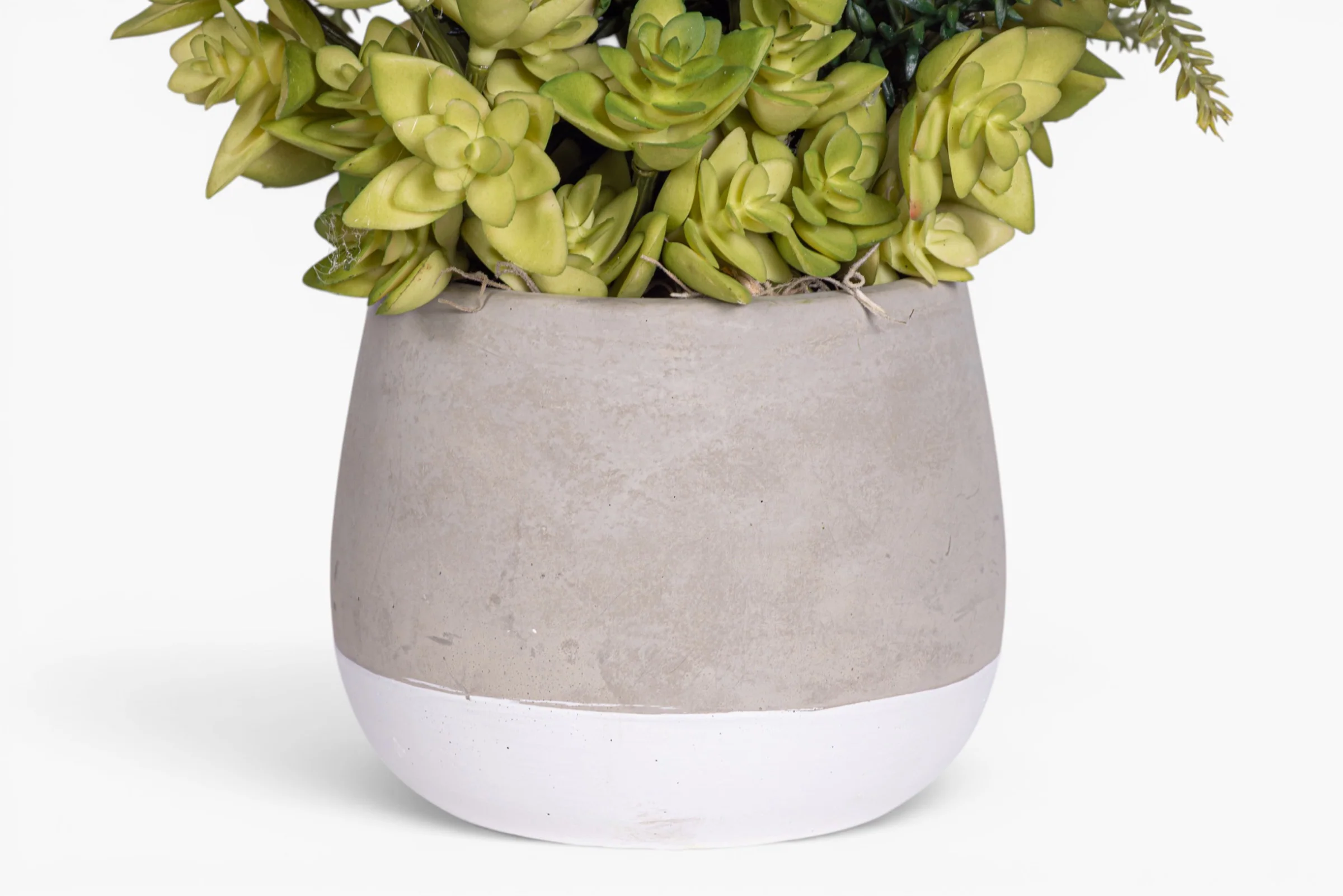 Ellie Pot with Succulent Arrangement AR2011 - Image 3