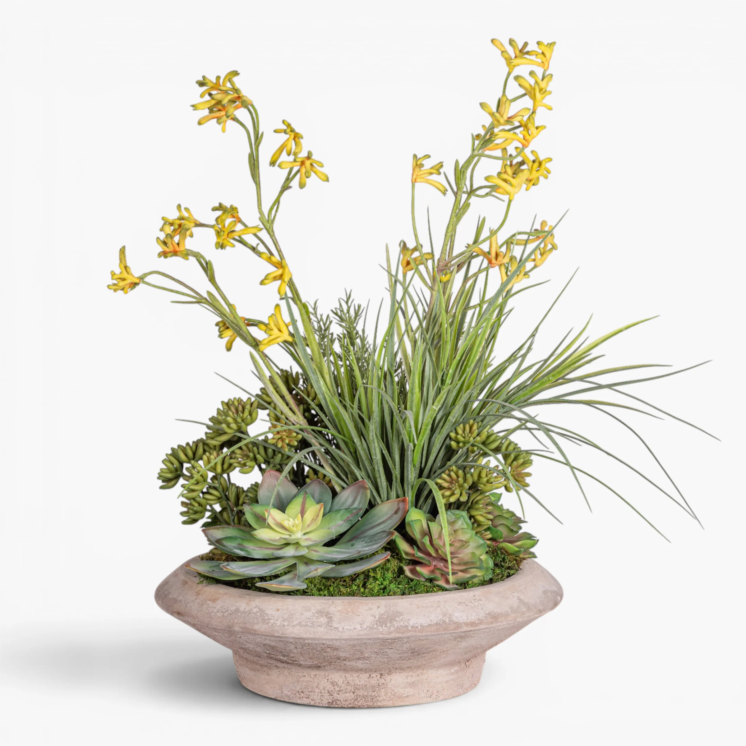 Sayulita Saucer wiht Mixed Arrangement AR2012