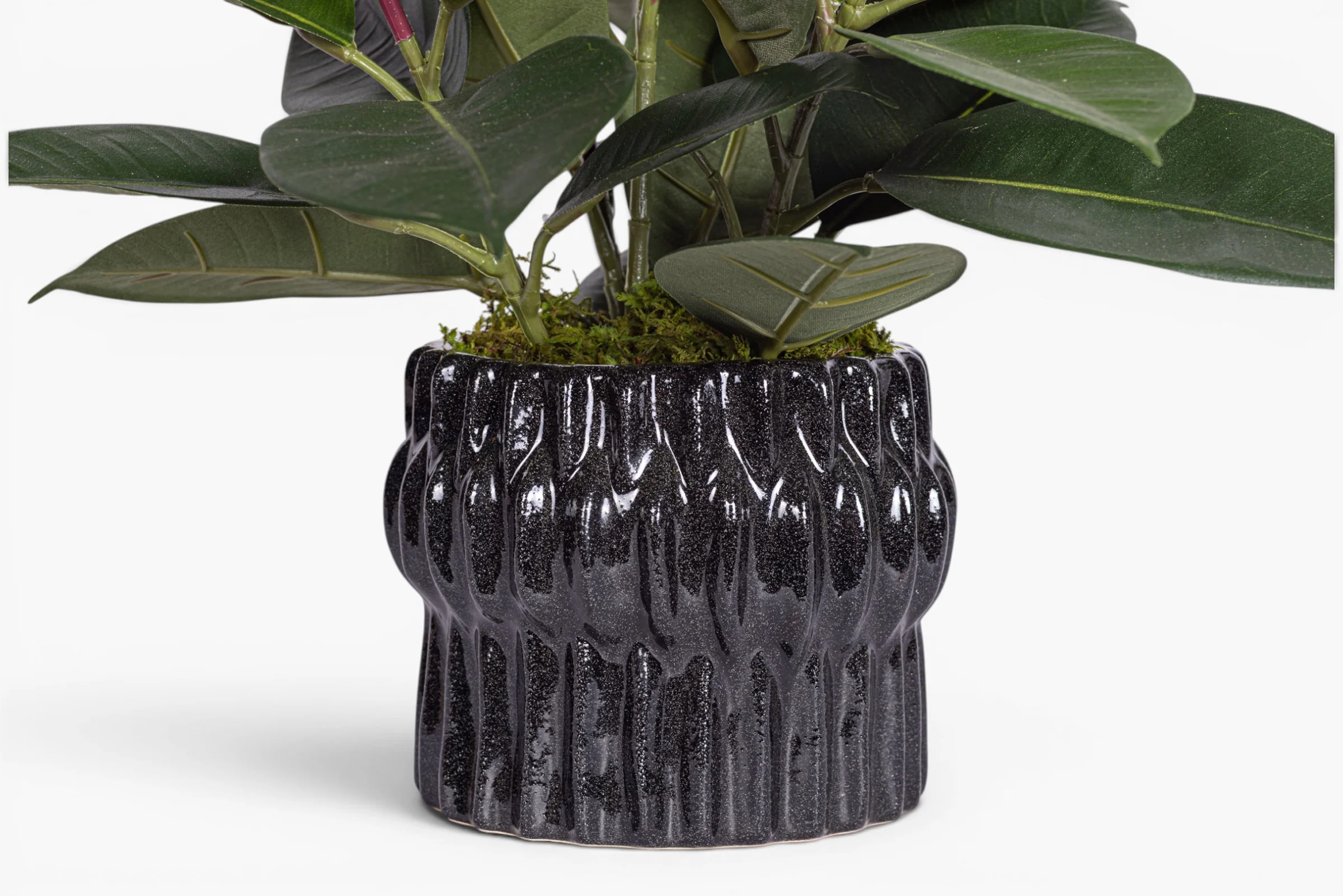 Beeker Pot with Rubber Plant Arrangement AR2015 - Image 2