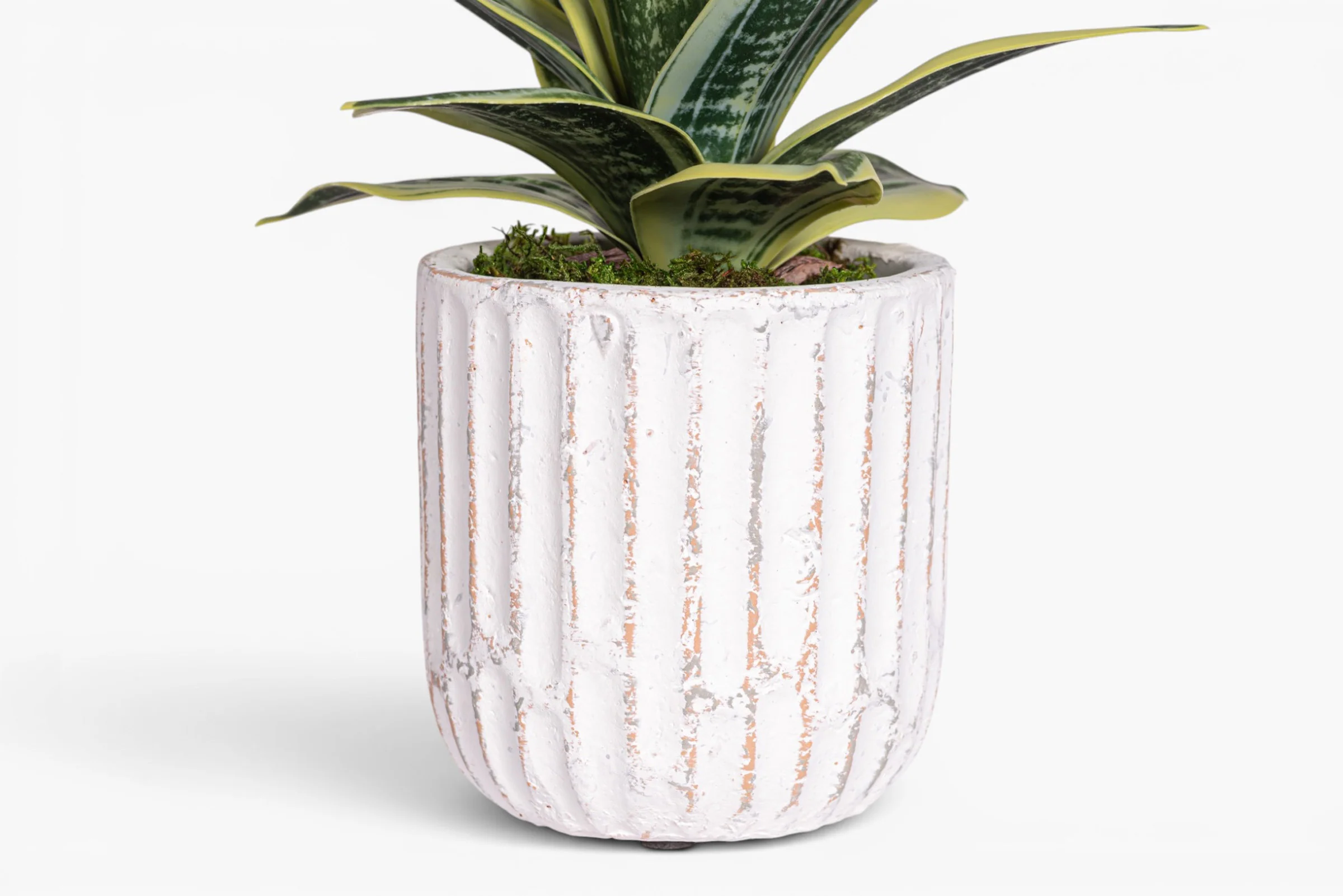 Margo Pot with Snake Flower Arrangement AR2019 - Image 3