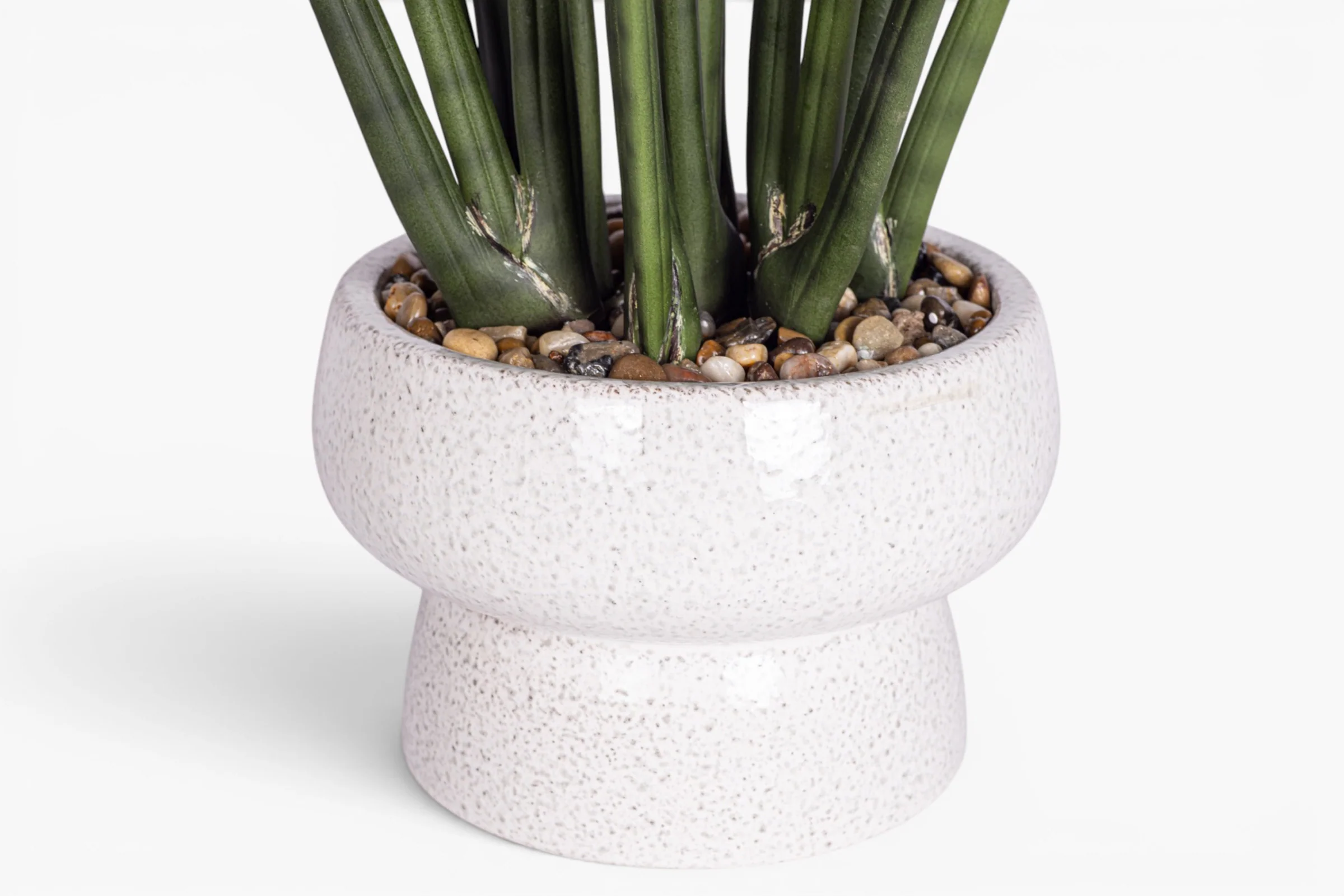 Shroom Compote with Snake Stem Arrangement AR2024 - Image 3