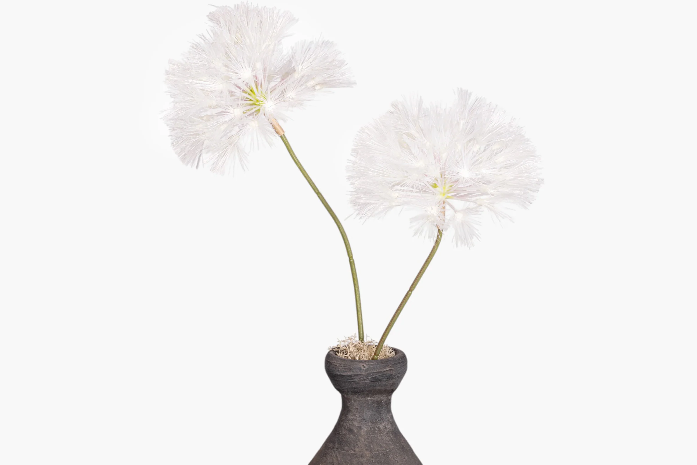 Lucy Vase with Dandelion Arrangement AR2029 - Image 4