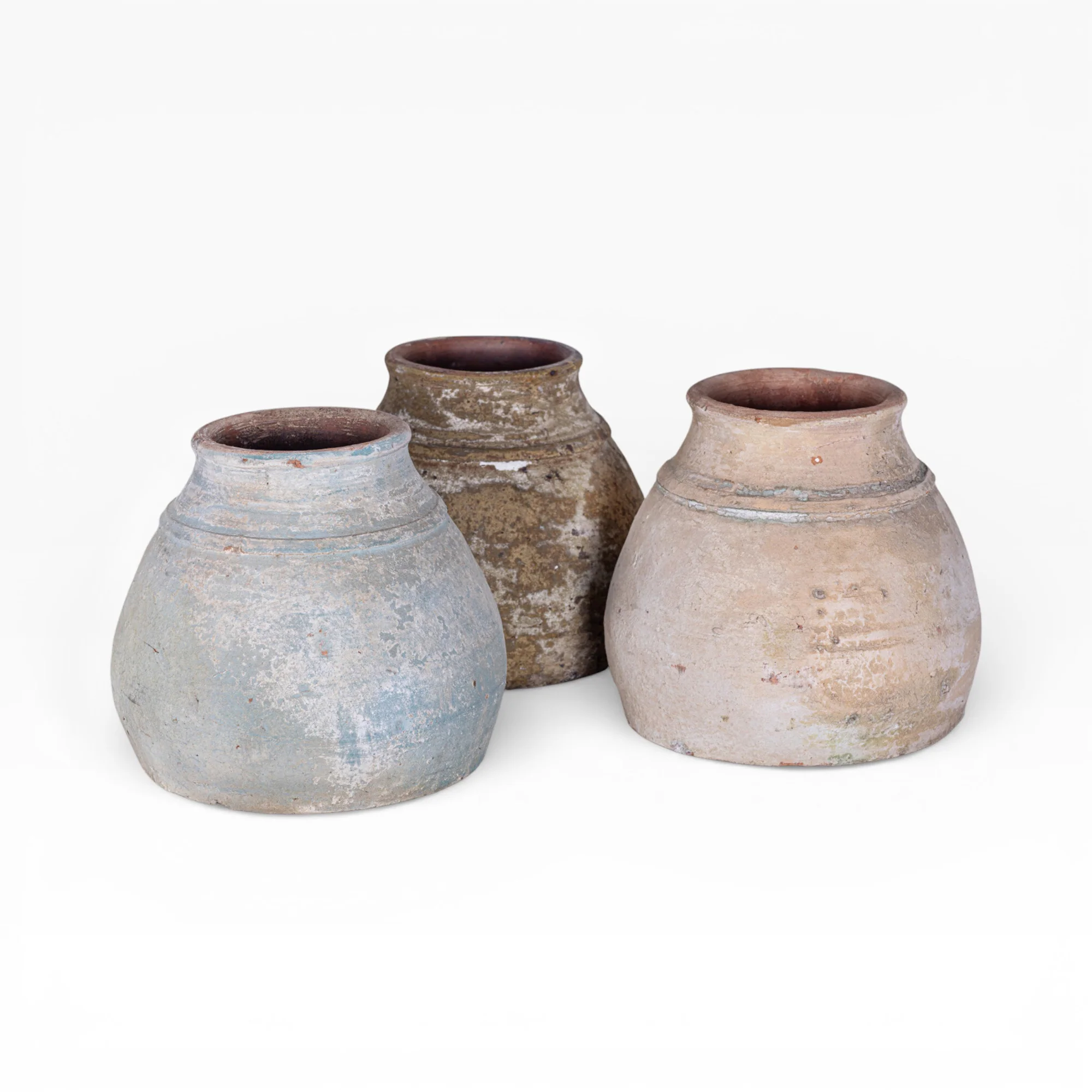 Aster Pot Collection CN1410 - Image 9