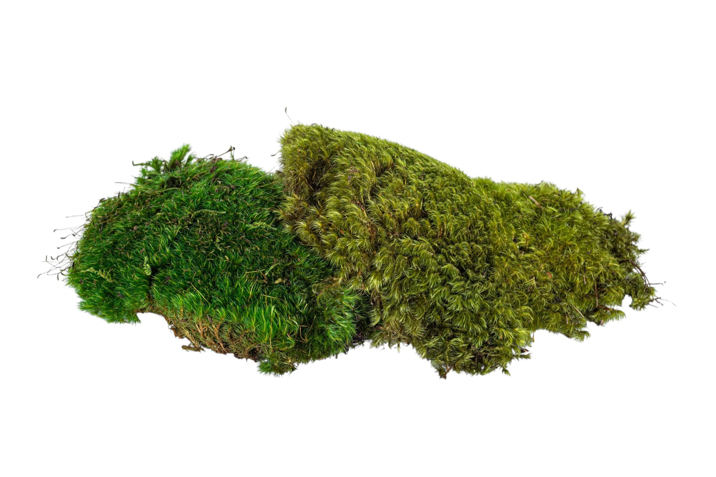 “Basketizing” - Foam with Rock or Moss Covering - 15-20"H - Image 19
