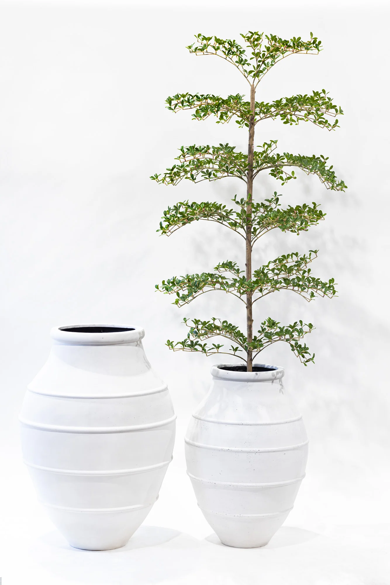 Croft Planter Collection - White   CN1313 - Image 6