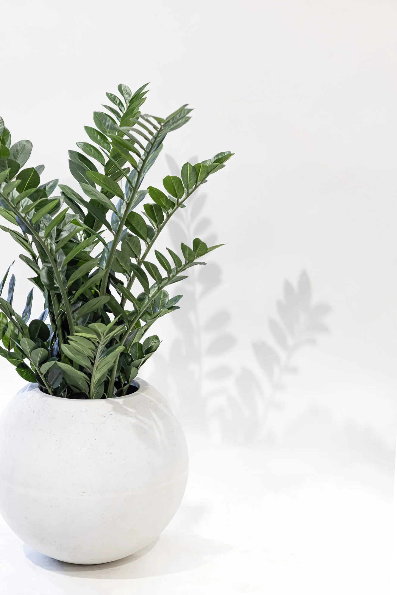 Kona Planter Collection Moss White CN1337 - Image 8