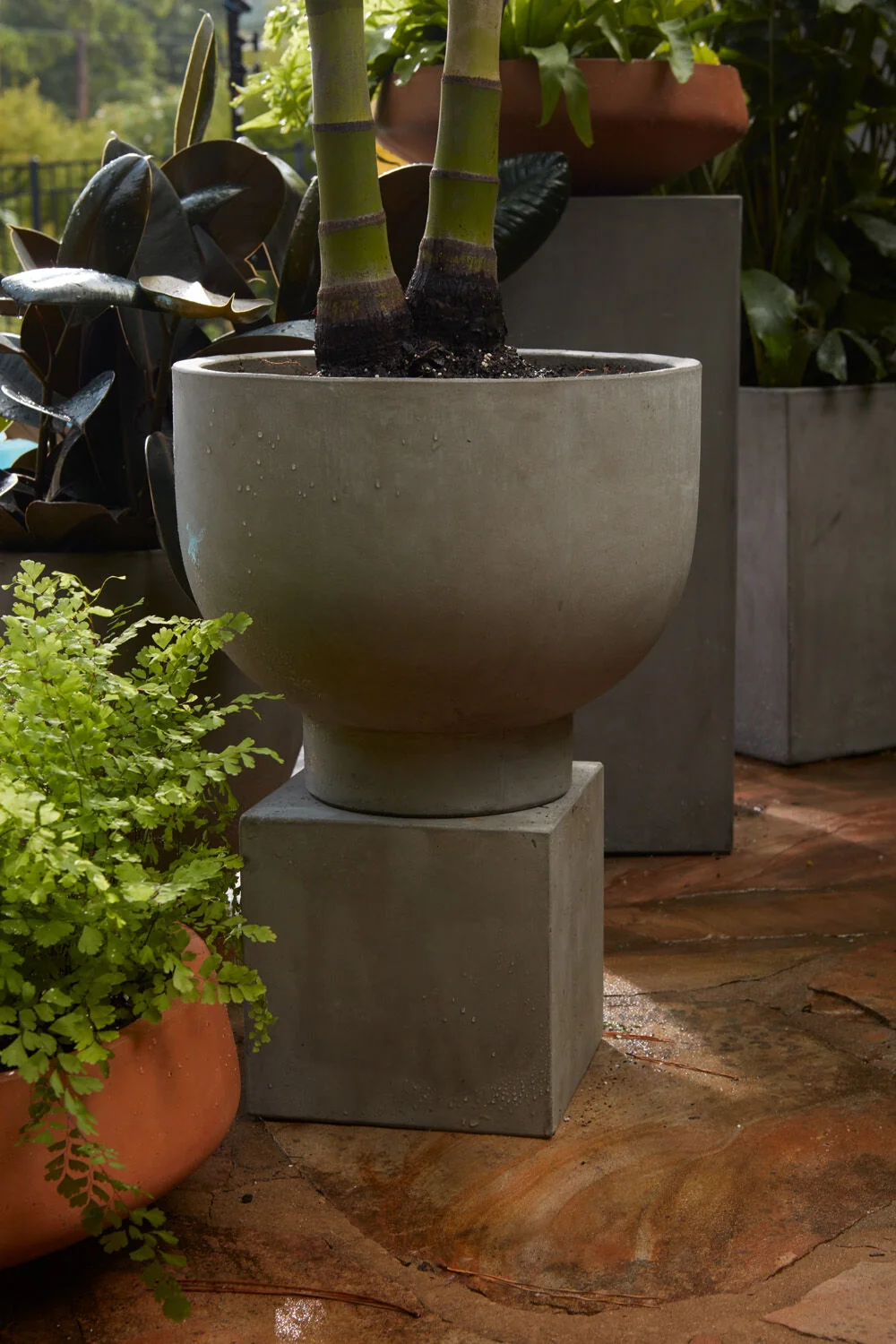 Mack Collection - Concrete Compote CN1007 - Image 3