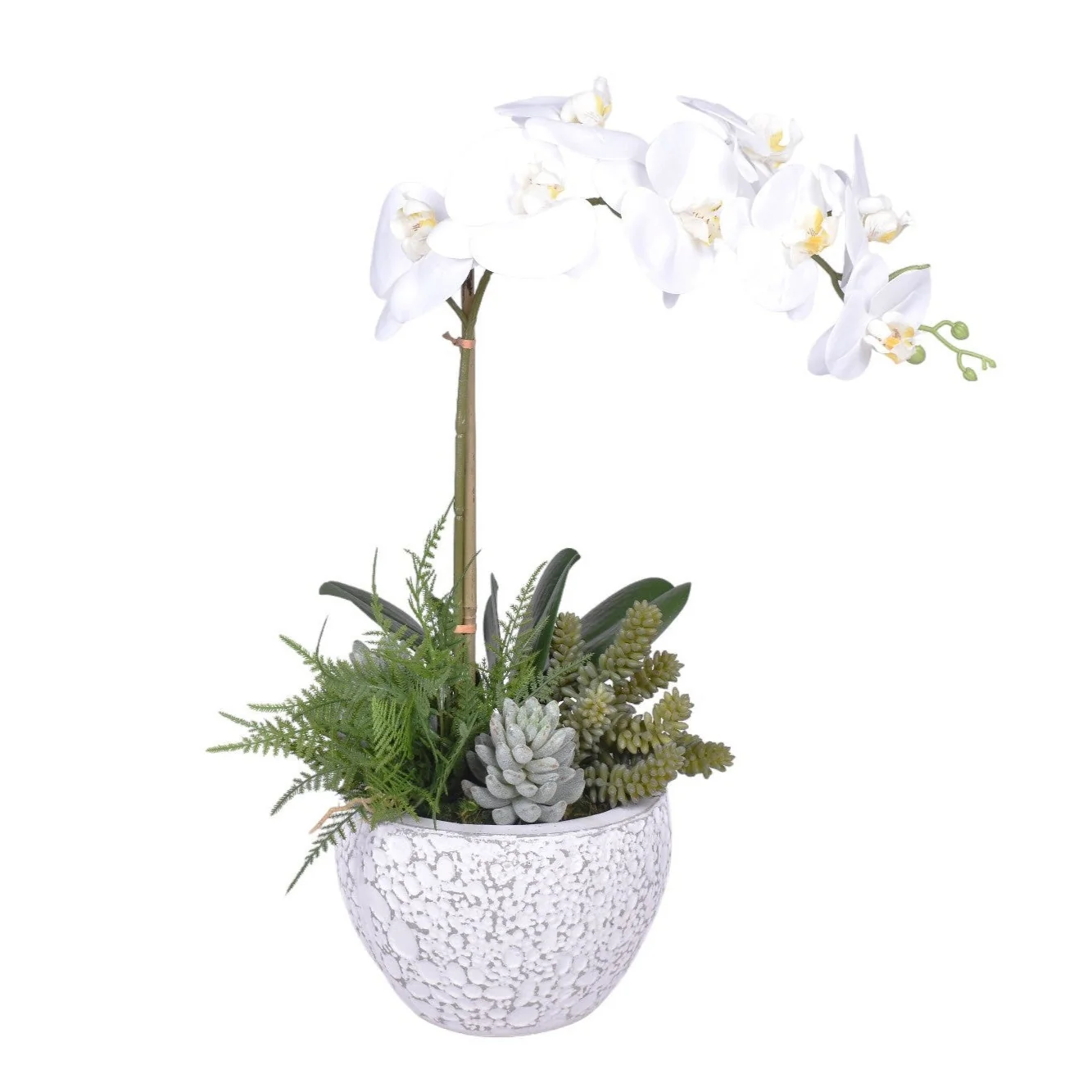 Medium Vienna Pot with Orchid Arrangement   AR1723