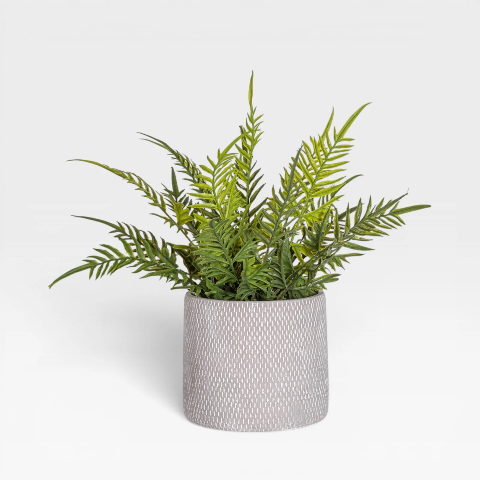 13" Fern Arrangement AR1930 - Image 2