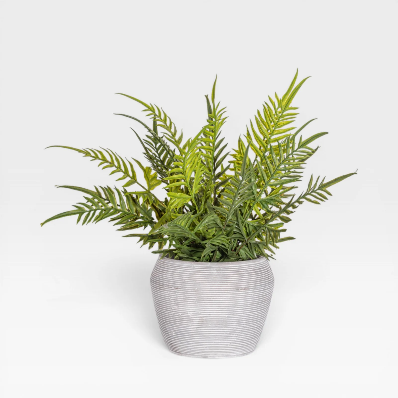 13" Fern Arrangement AR1930 - Image 3