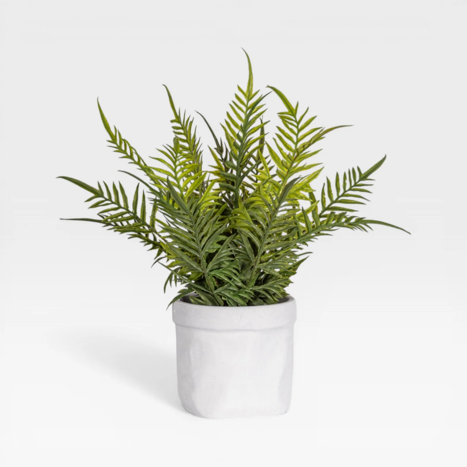 13" Fern Arrangement AR1930 - Image 4