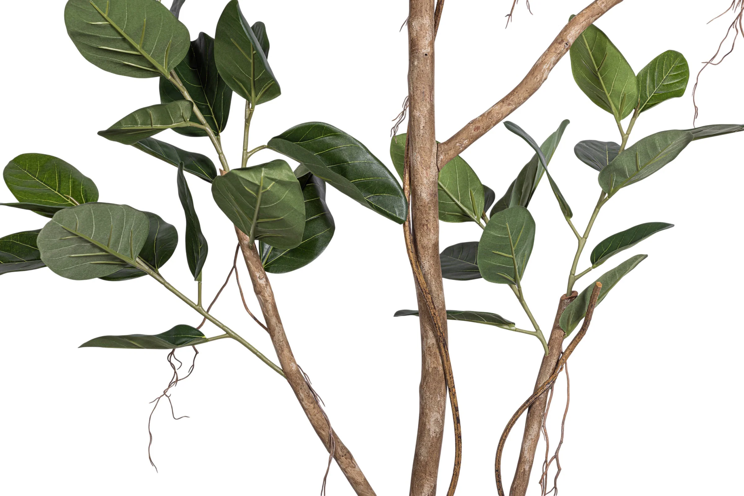 9' Audrey Ficus Tree FP1433 - Image 3