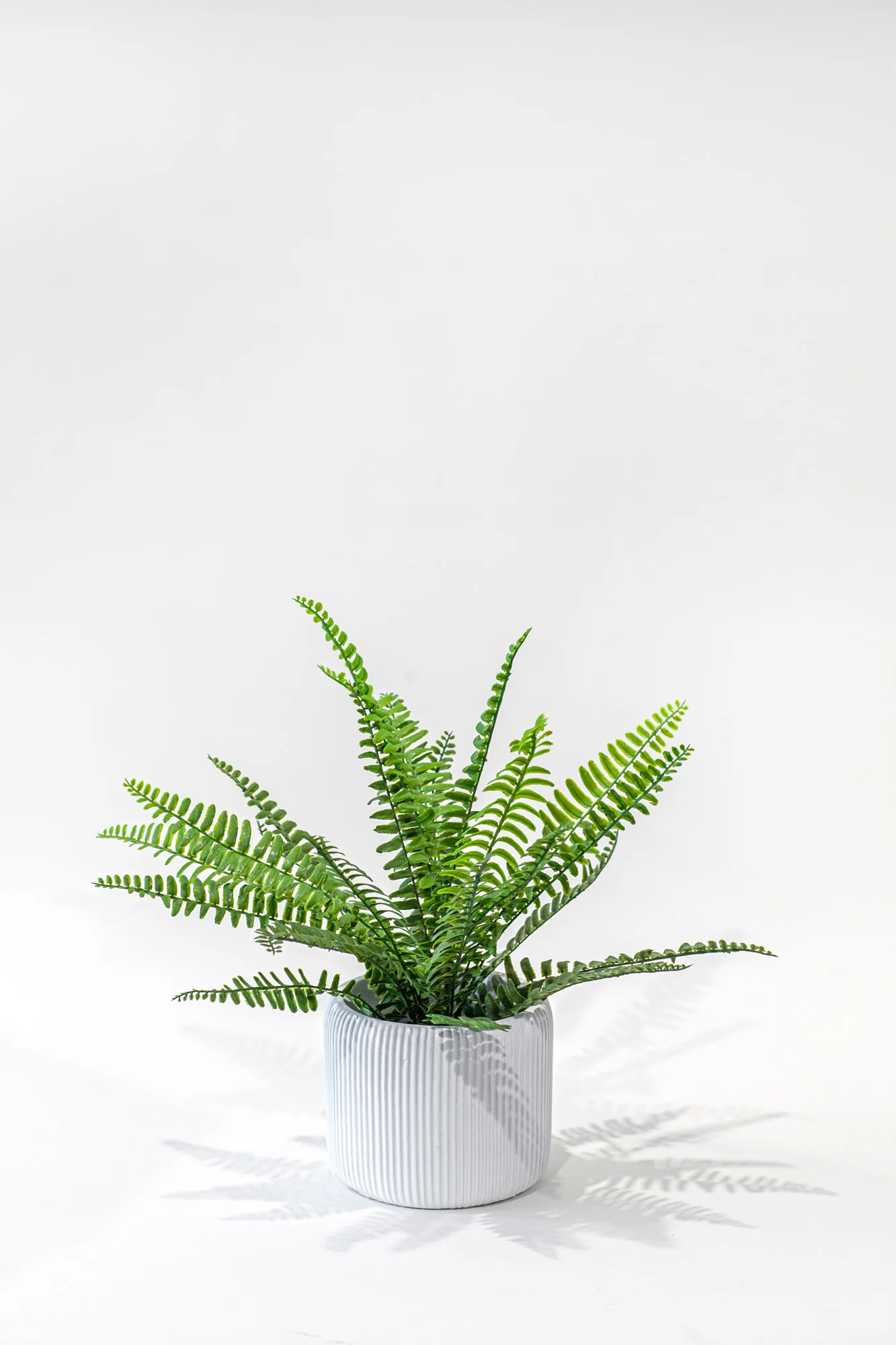 Lola Pot CN1353 - Image 4