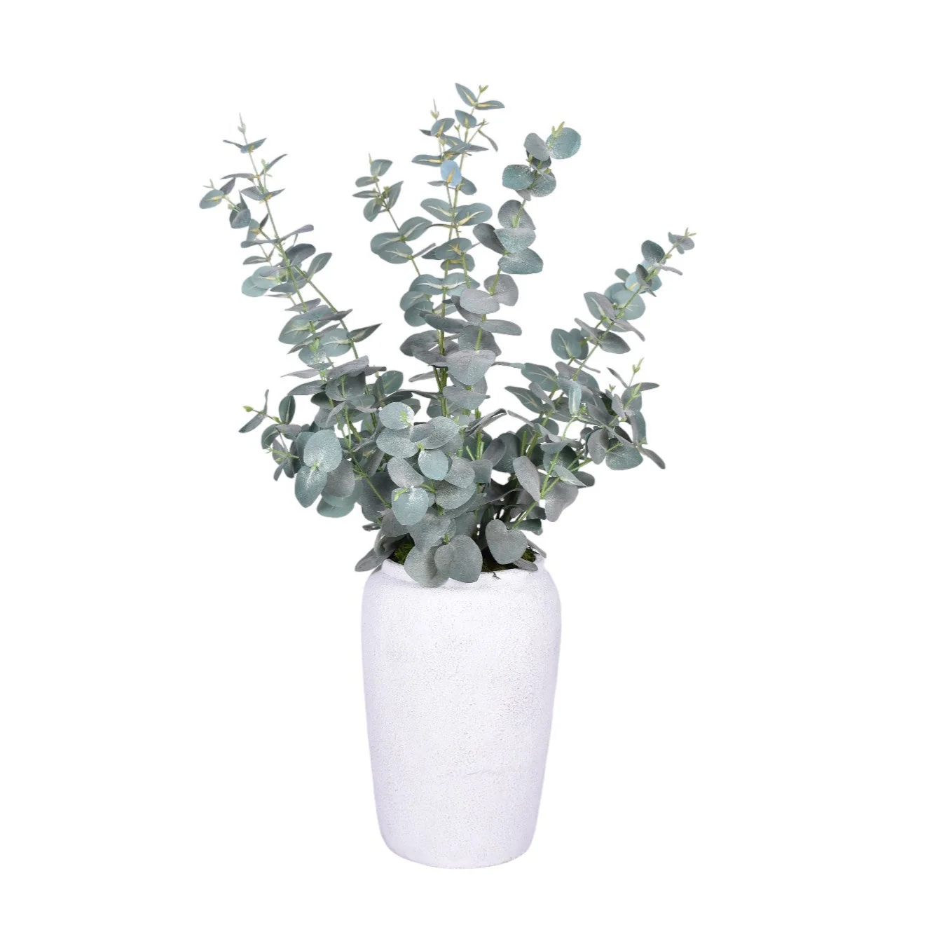 Medium Tyberious Vase with Eucalyptus   AR1729