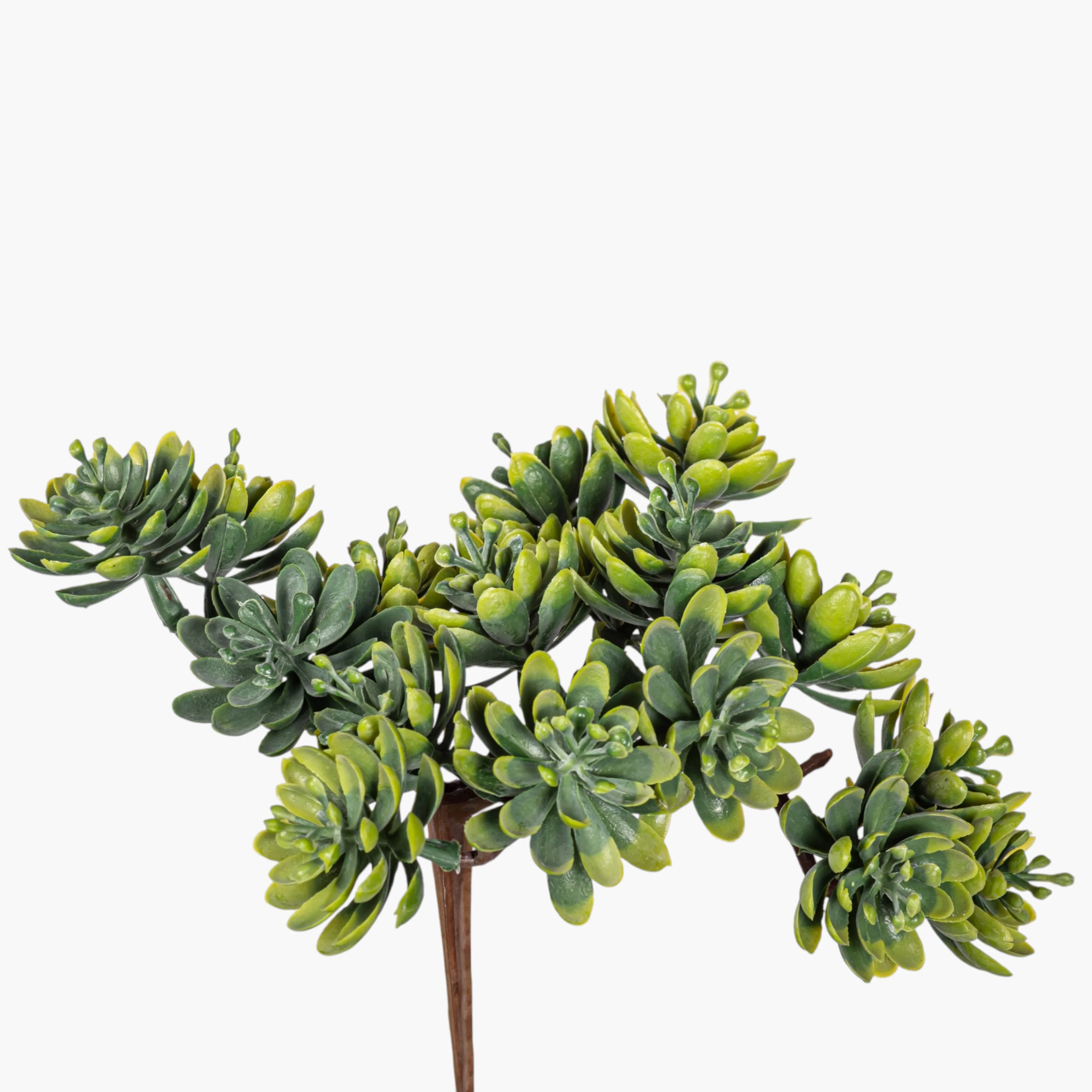 5" Multi-Head Succulent Stem MH1044
