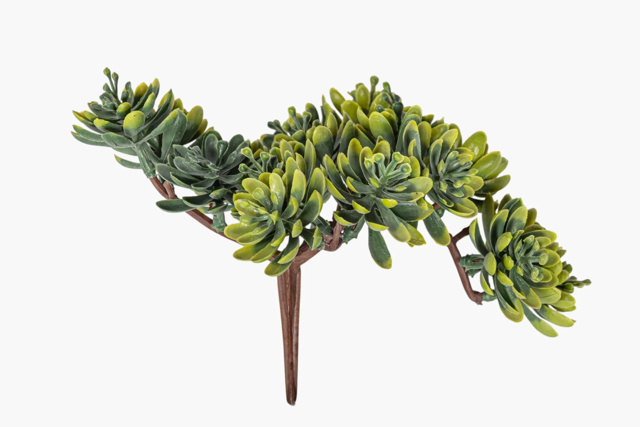 5" Multi-Head Succulent Stem MH1044 - Image 2