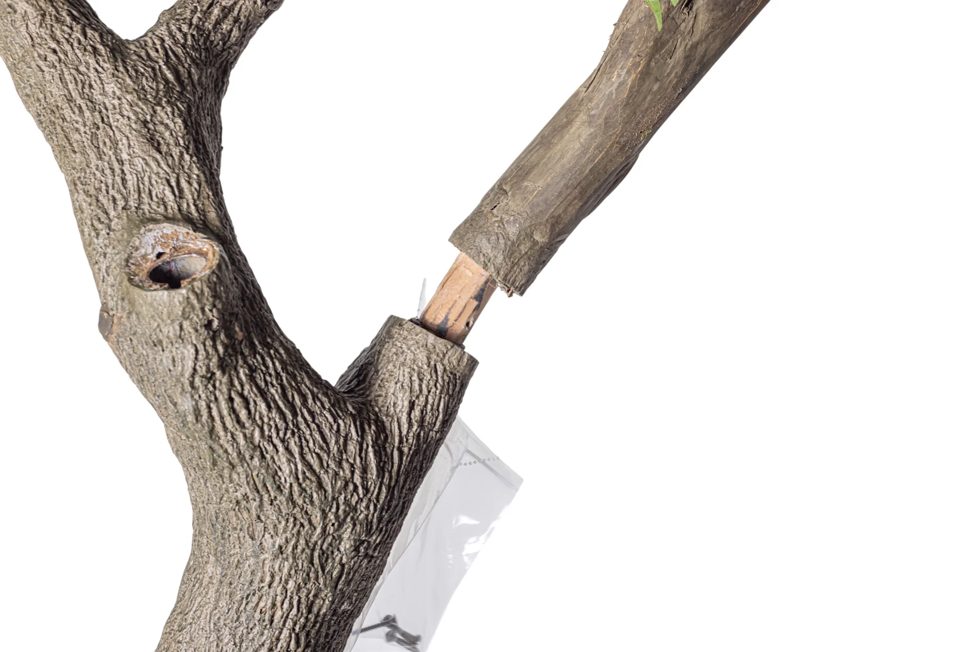 9' Murraye Tree - UV Treated FP1505 - Image 3