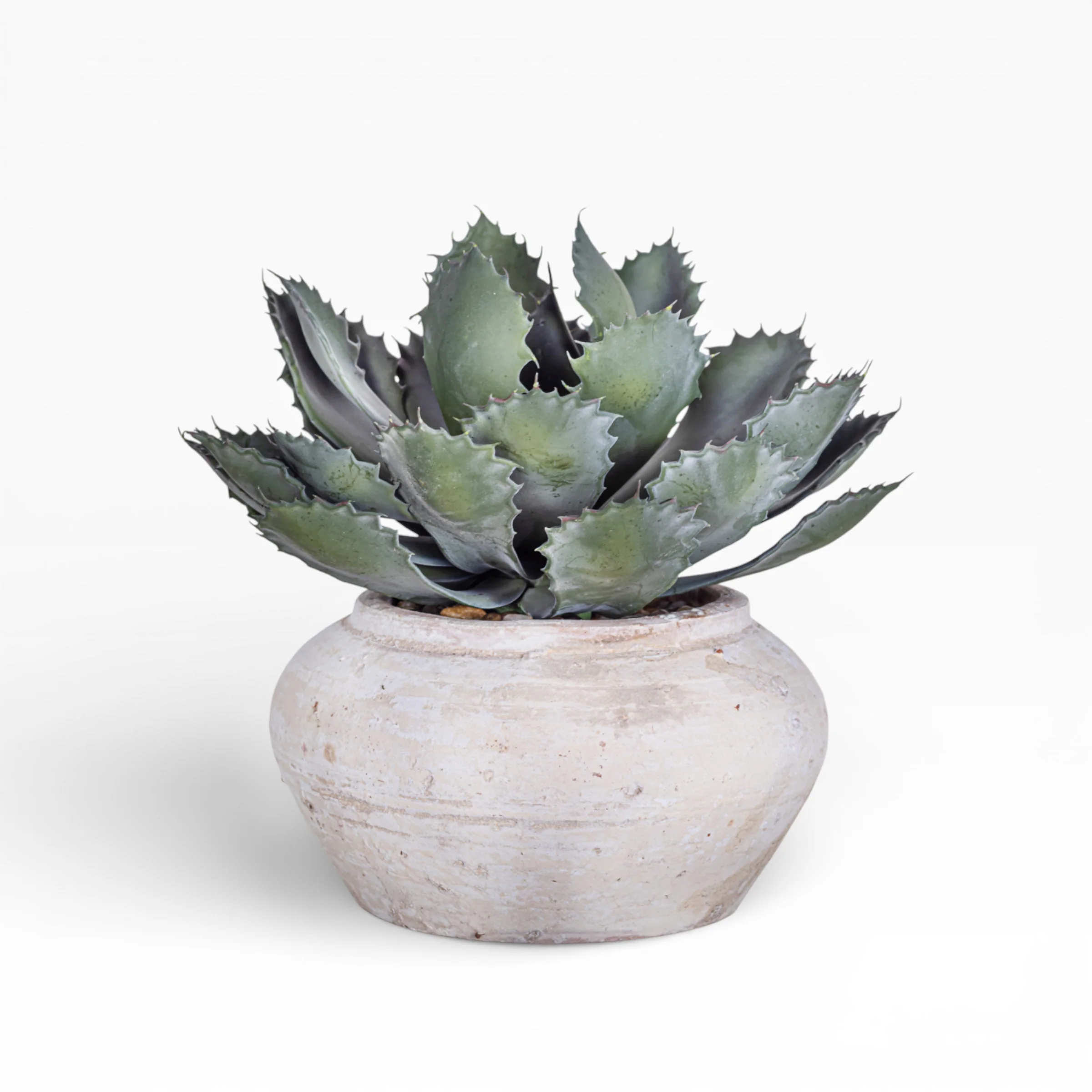 8" Esther Pot with Succulent Arrangement AR1407