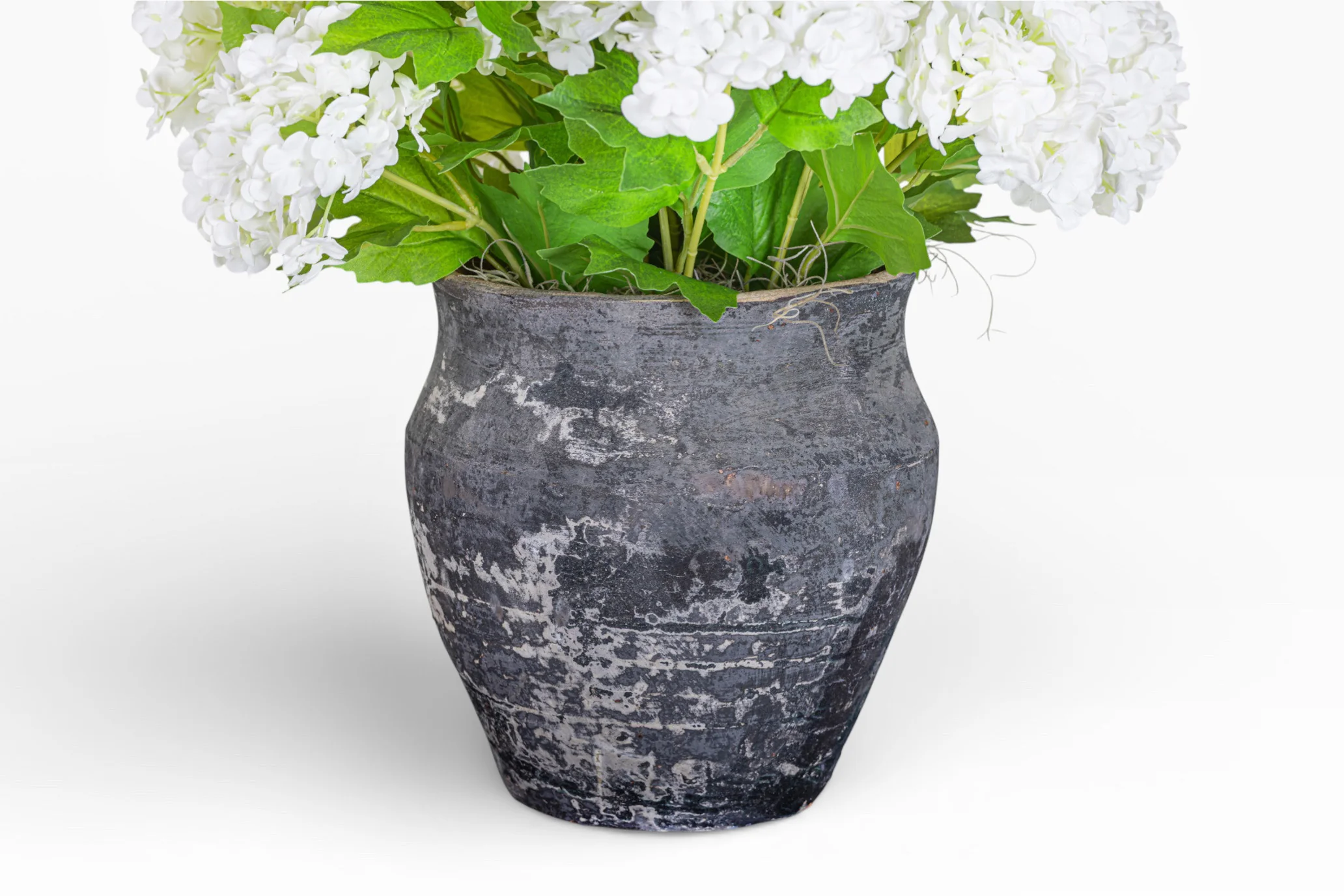 6" Titan Pot with Hydrangea Arrangement AR1421 - Image 2