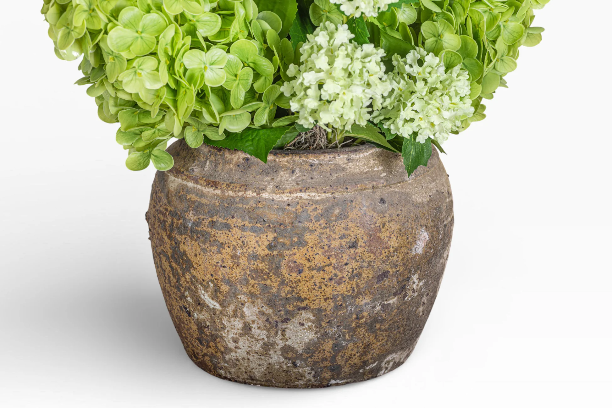 Nyx Pot with Hydrangea Arrangement AR1425 - Image 2