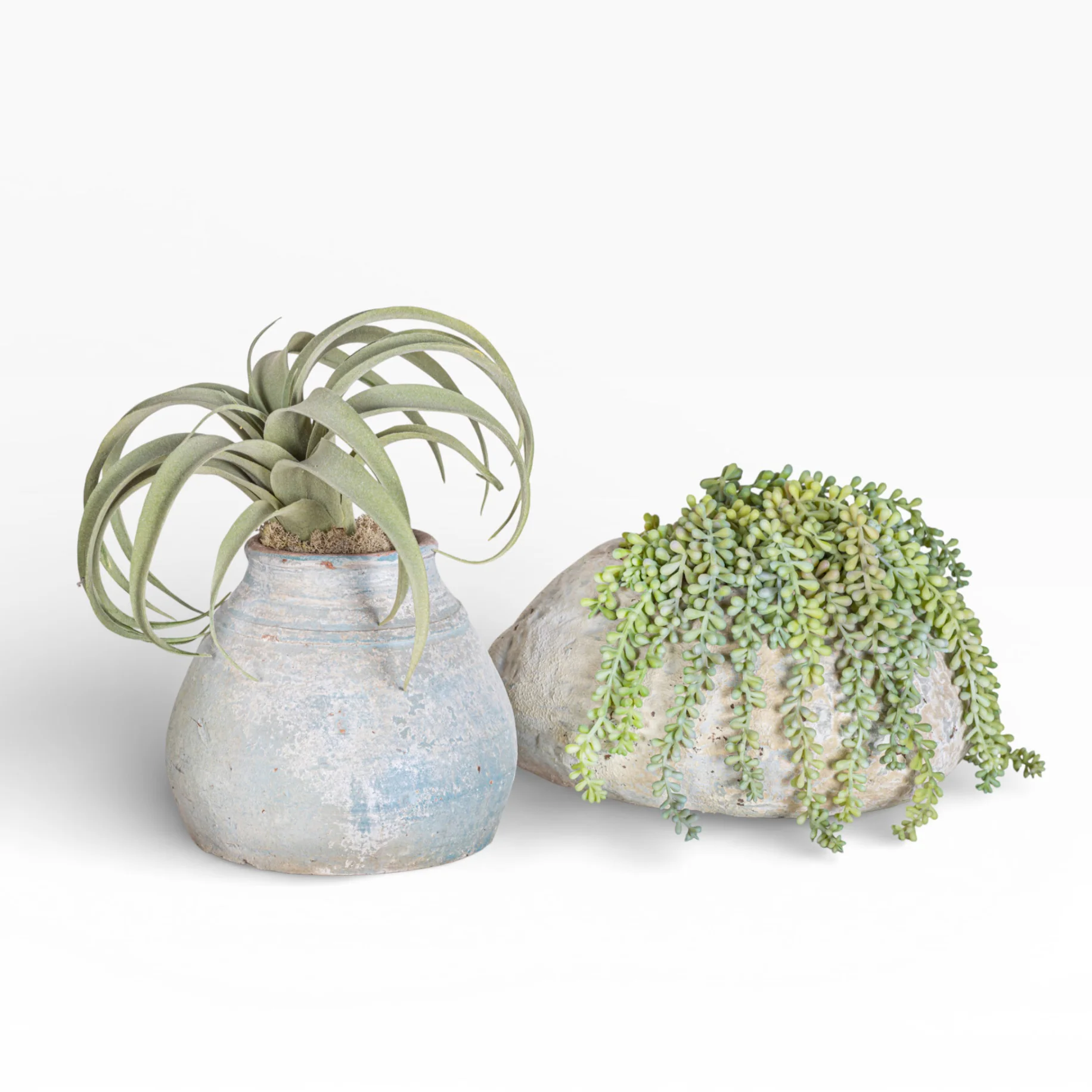 11" Skye Pot with Sedum Arrangement AR1457 - Image 3