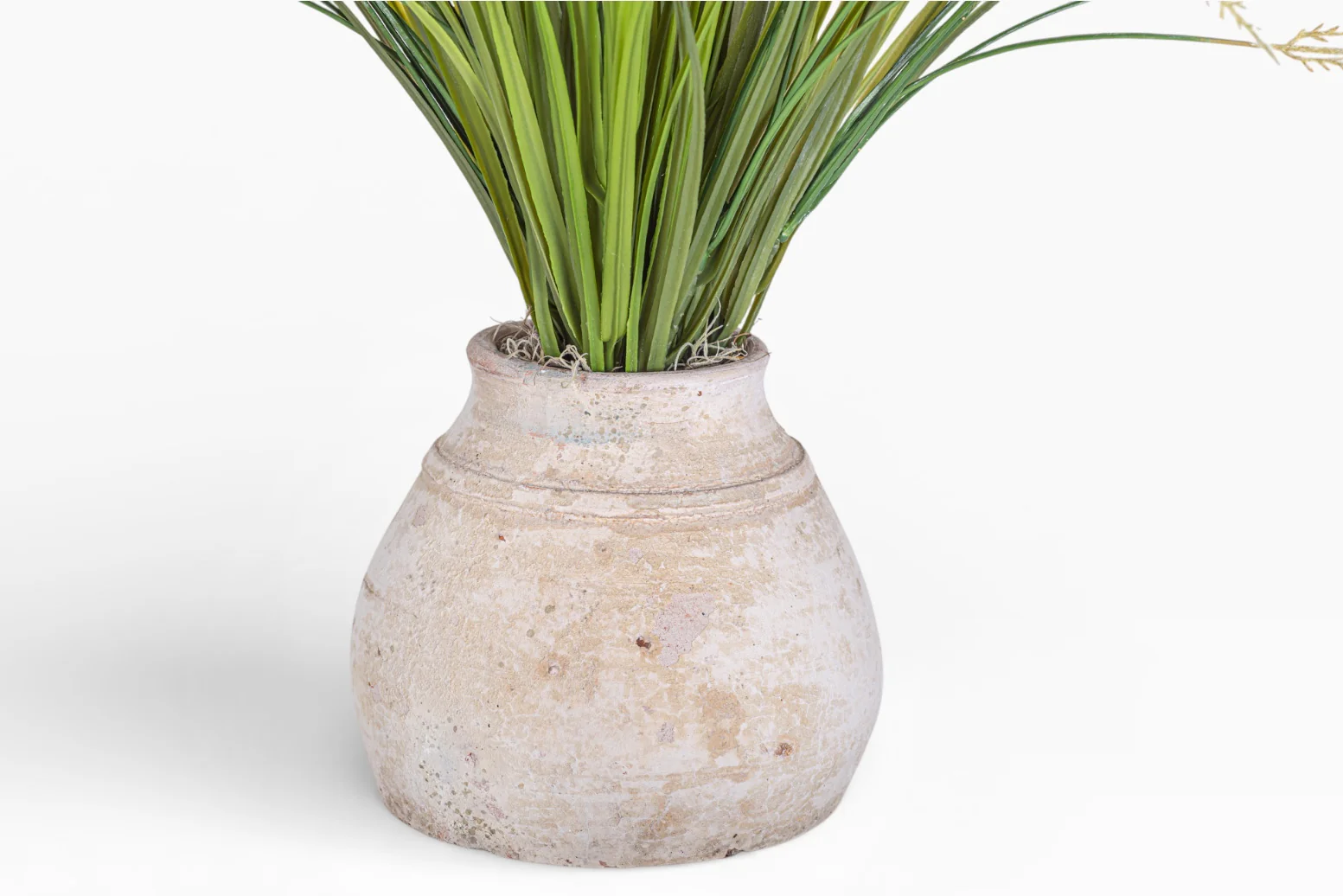 Aster Pot with Grass Arrangement AR1464 - Image 2
