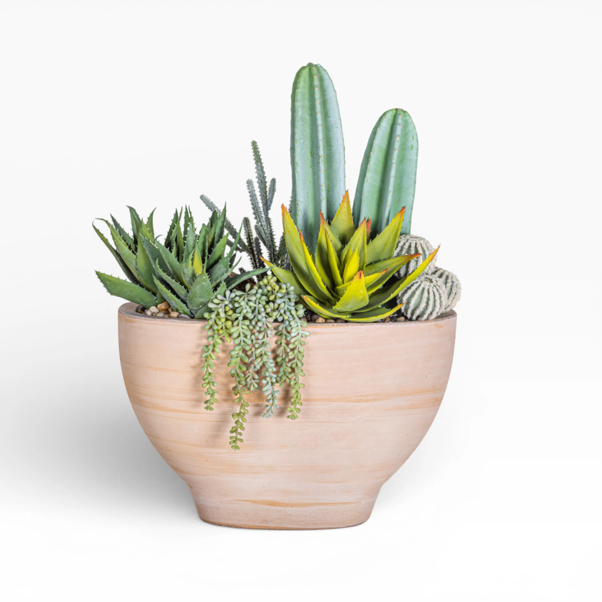 17" Maeve Bowl with Mixed Cactus Arrangement AR1472