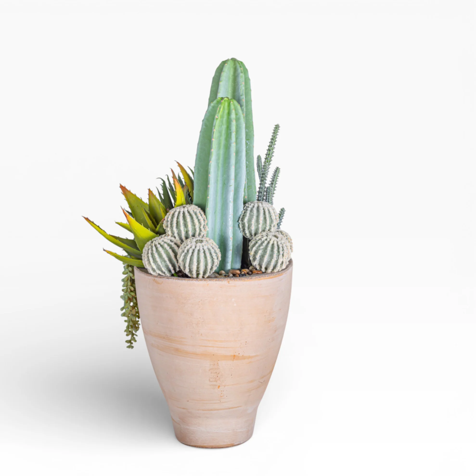 17" Maeve Bowl with Mixed Cactus Arrangement AR1472 - Image 3