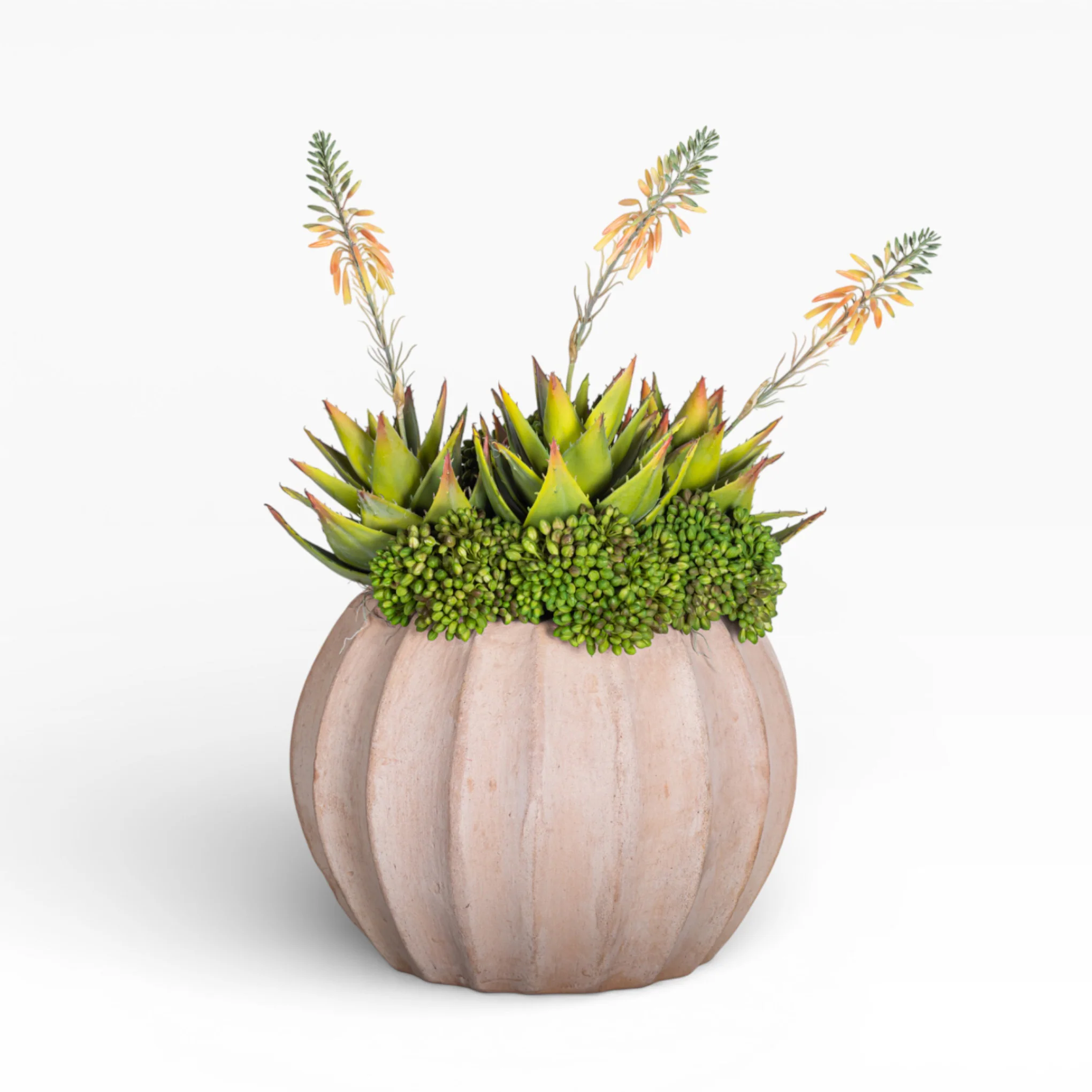 13" Sienna Pot with Mixed Succulent Arrangement AR1484 - Image 2