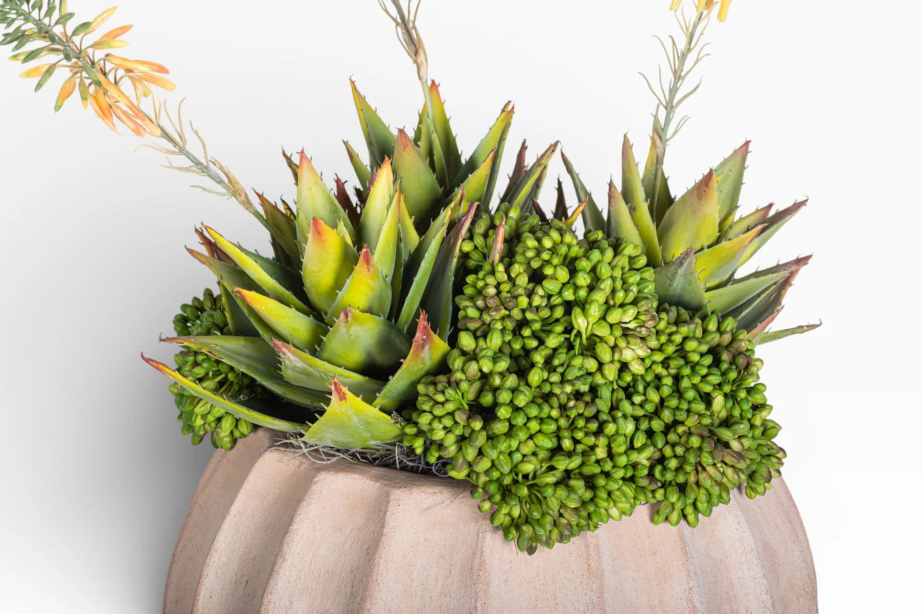 13" Sienna Pot with Mixed Succulent Arrangement AR1484 - Image 3