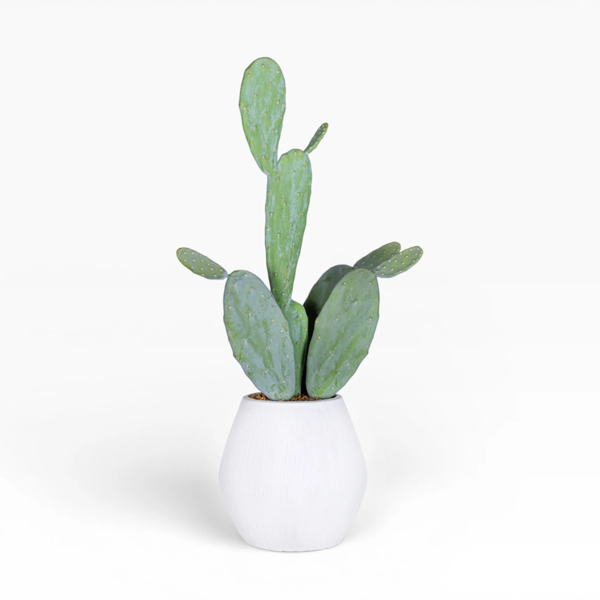 10" Ava Pot with Cactus Arrangement AR1510