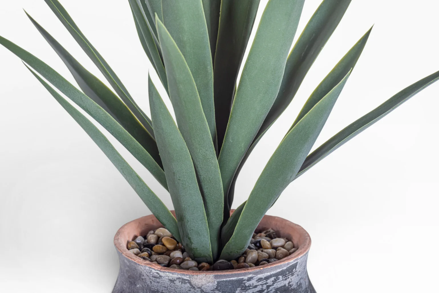 8" Titan Pot with Yucca Arrangement AR1400 - Image 3