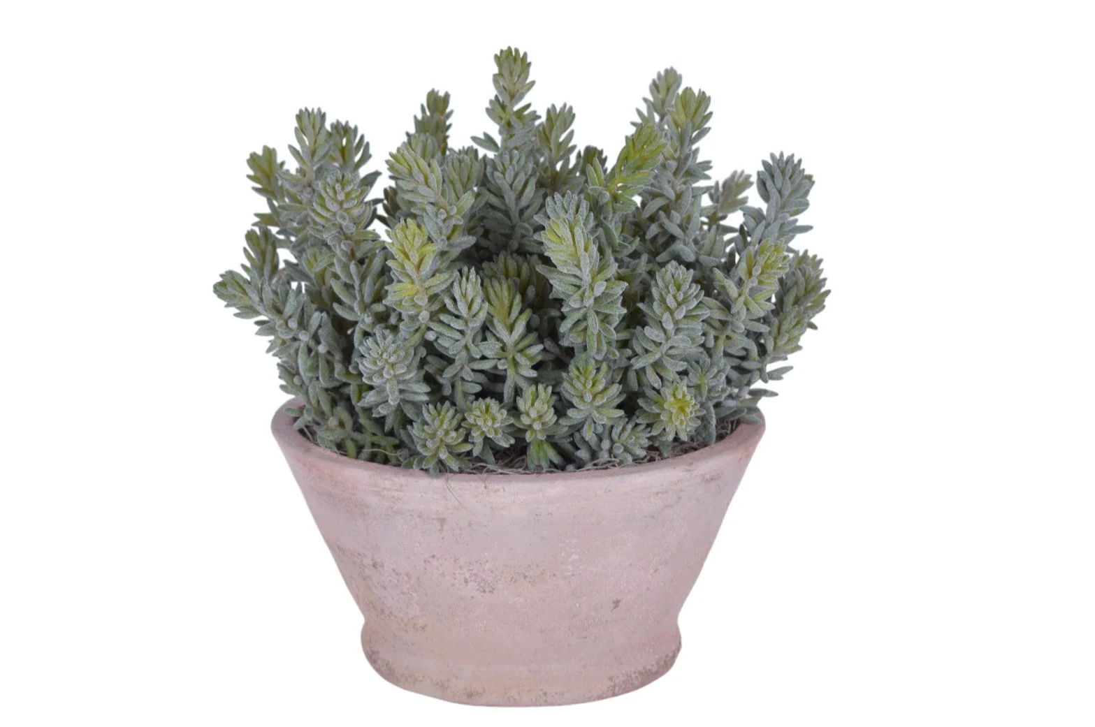 Oaxaca Bowl with UV Treated Sedum AR1741UV